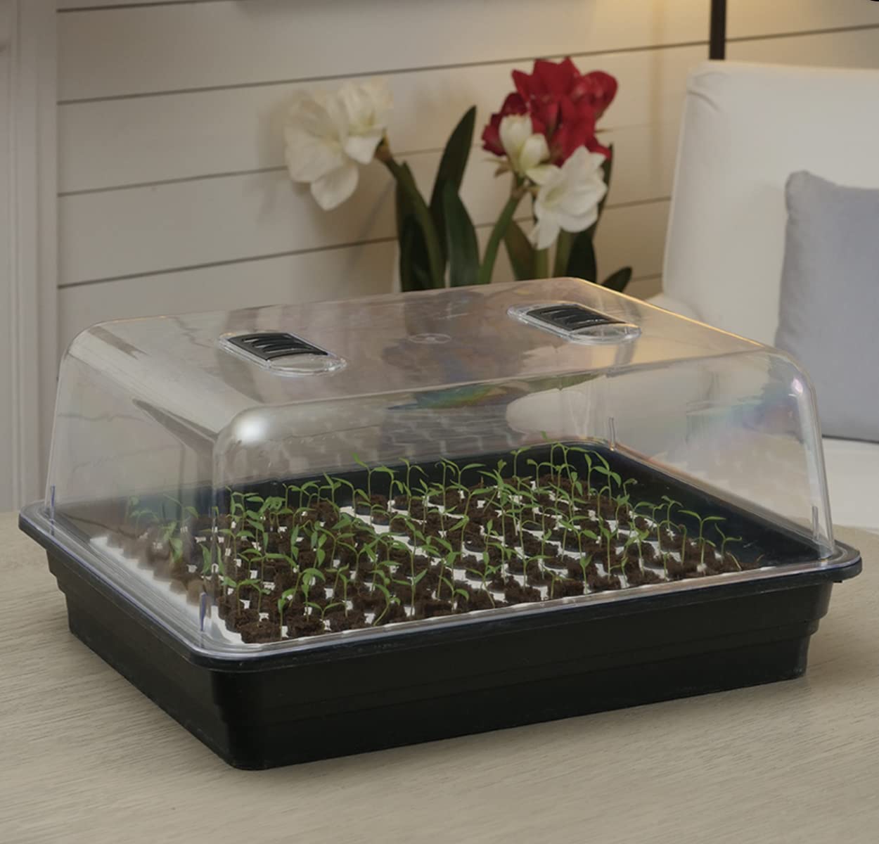 Park Seed Double-Sized Bio Dome Seed Starter Kit - 2x60 Cell Planting Blocks, Base Tray, Humidity Dome & 120 Bio Sponges for Indoor Gardening, Hydroponics & Home Plant Propagation