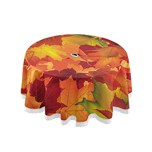 Autumn Maples