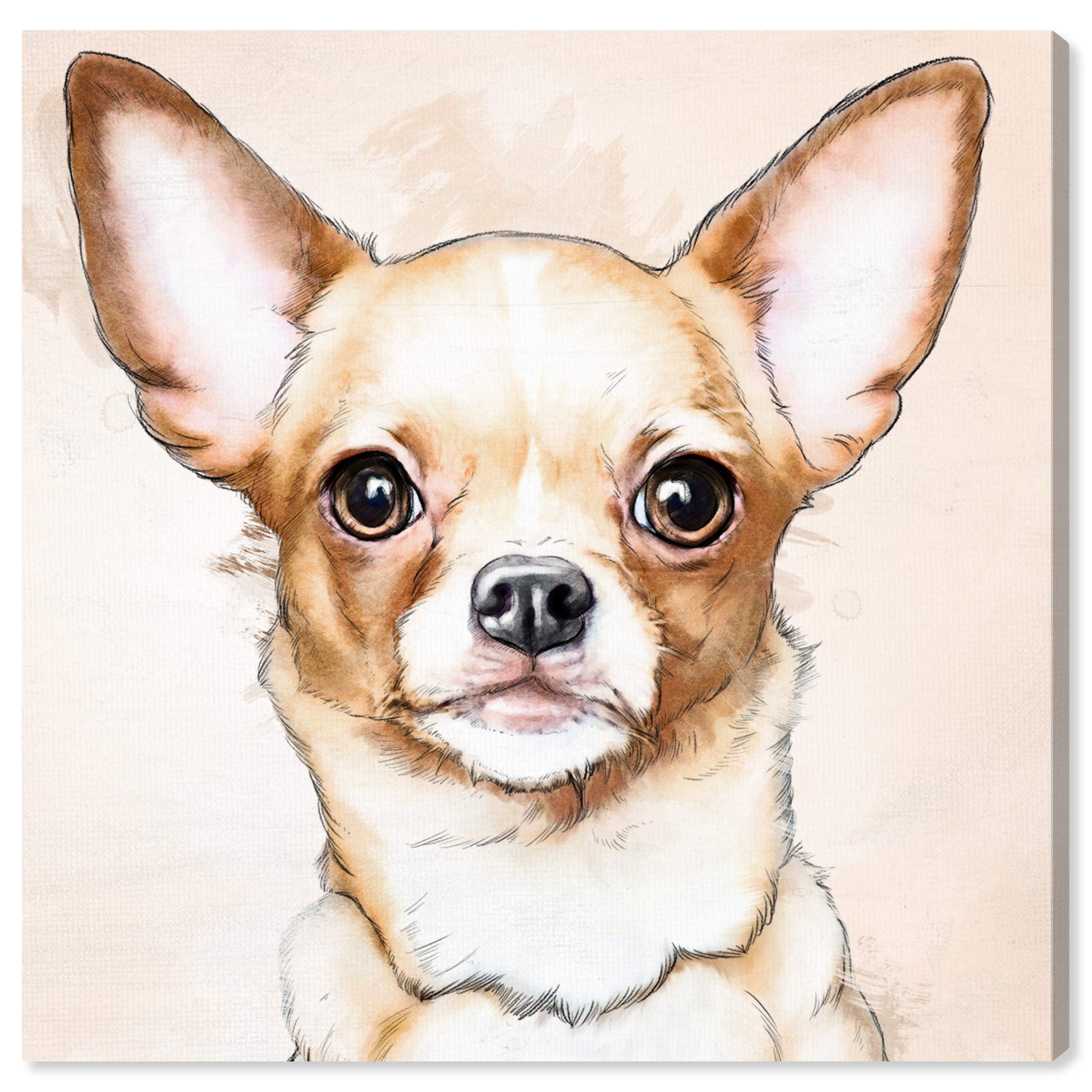 Oliver Gal Artist Co. Chihuahua Watercolor Wall Art Canvas Print - 24x24 Inch Brown & White Animal Painting for Living Room, Bedroom, Office Décor