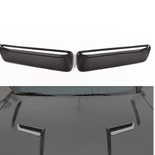 Carbon Fiber