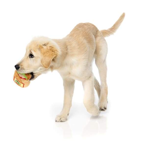 **Fuzzyard Burrito Plush Dog Toy - Soft & Durable Chew Toy for Small & Medium Dogs - Perfect for Playtime, Cuddling & Gifting**