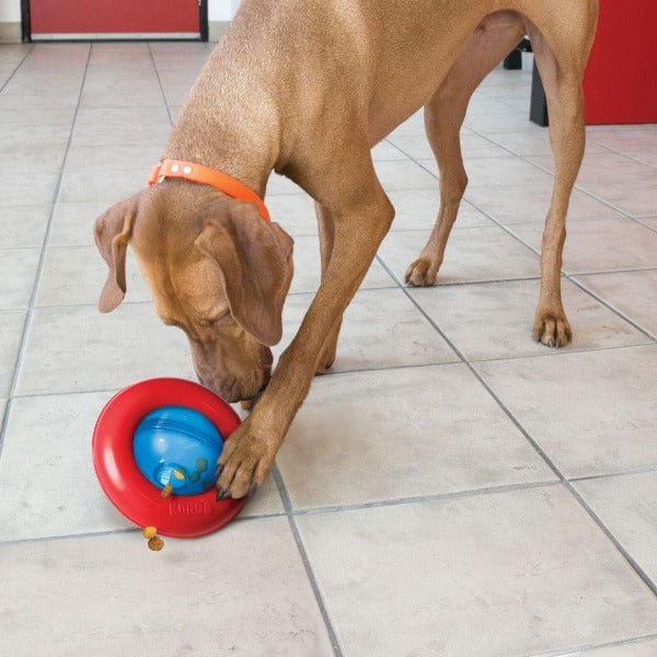 KONG Gyro Interactive Treat Dispensing Dog Toy - Fun Puzzle Feeder for Mental Stimulation & Slow Feeding - Perfect for Small & Medium Dogs
