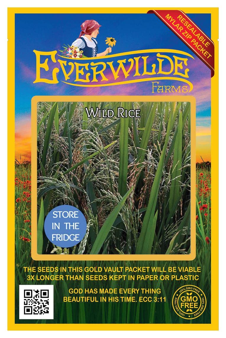 Everwilde Farms - 50 Wild Rice Native Grass Seeds - Gold Vault Jumbo Seed Packet for Organic Gardening, Landscaping & Wildlife Habitat Restoration