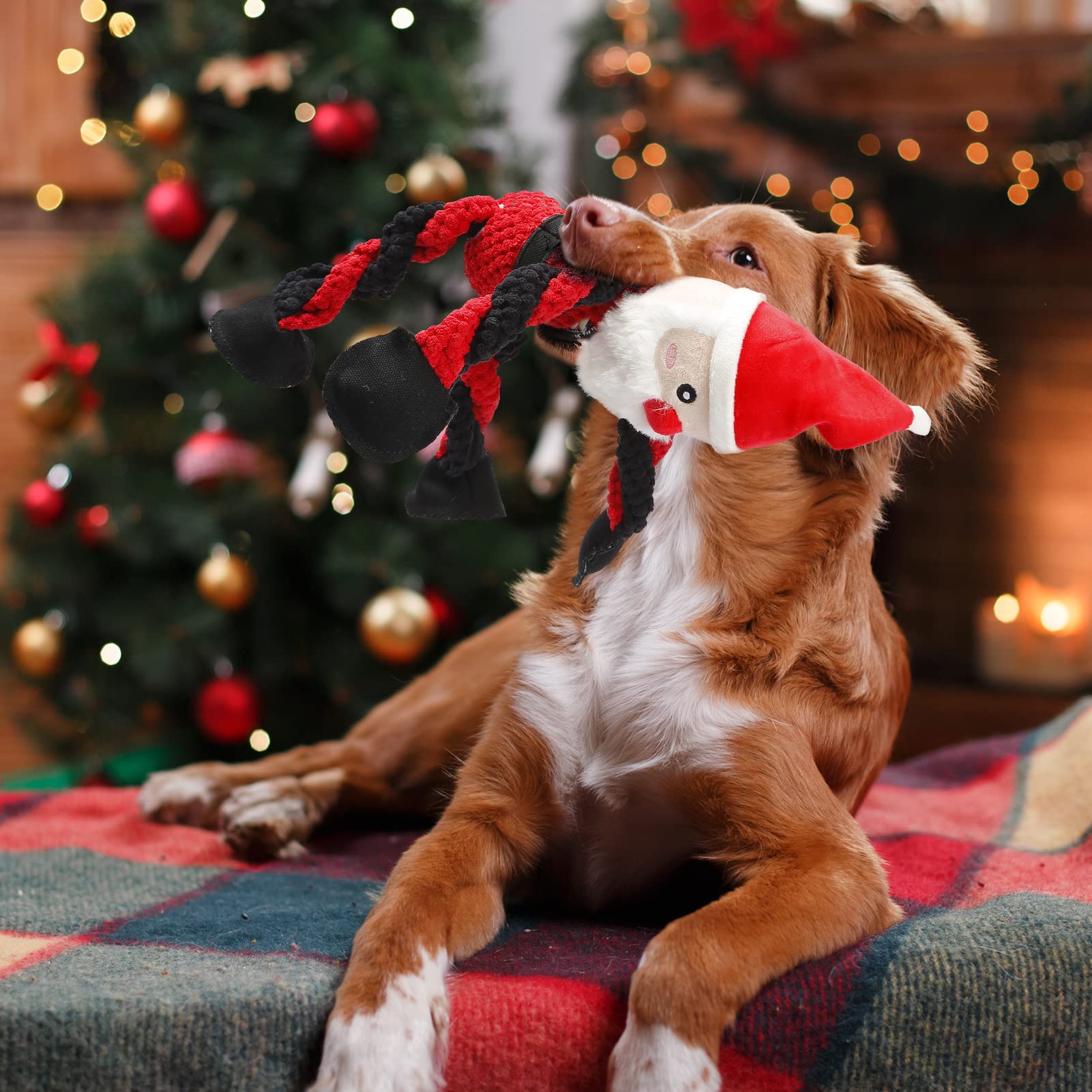 Senneny 3 Pack Christmas Dog Toys - Santa, Reindeer & Snowman Squeaky Plush Toys for Small, Medium & Large Dogs | Durable Chew Toys for Puppies | Perfect for Holiday Playtime & Interactive Training
