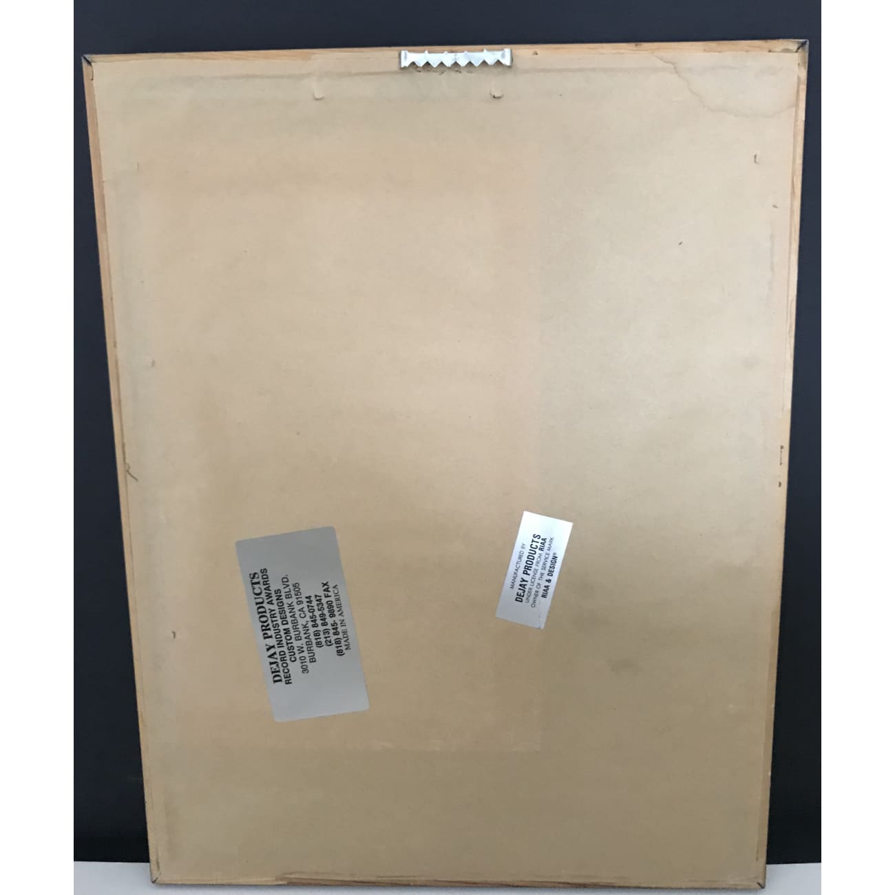 Nirvana Nevermind RIAA Platinum Album Award - Official Music Collectible for Fans & Display   Perfect for Home Decor, Music Memorabilia Collections, and Gift for Nirvana Fans