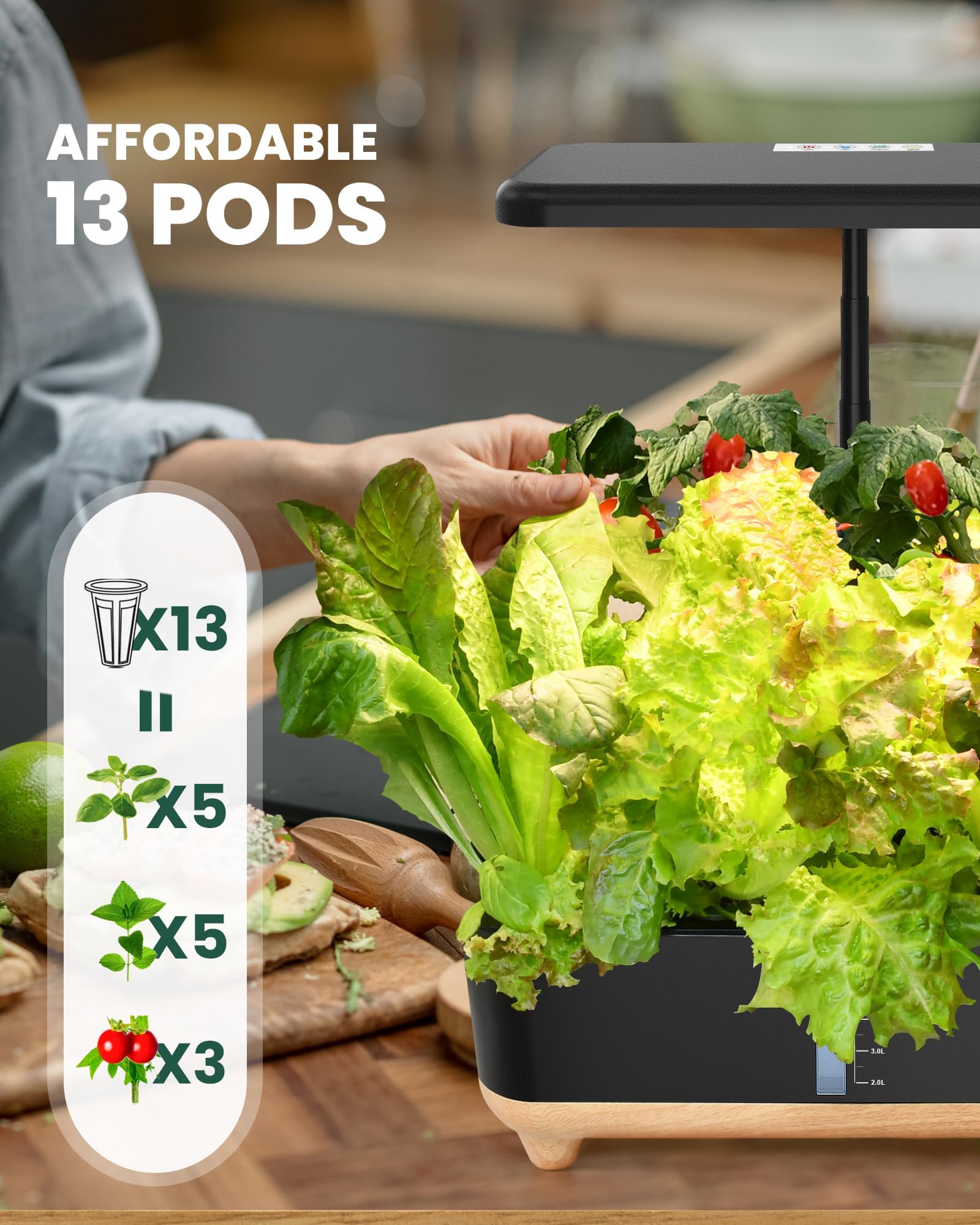 RAINPOINT 13-Pod Indoor Hydroponic Growing System - Smart Herb Garden Kit for Fresh Vegetables, Lettuce & Plants | Perfect for Kitchen, Home Gardening & Urban Farming