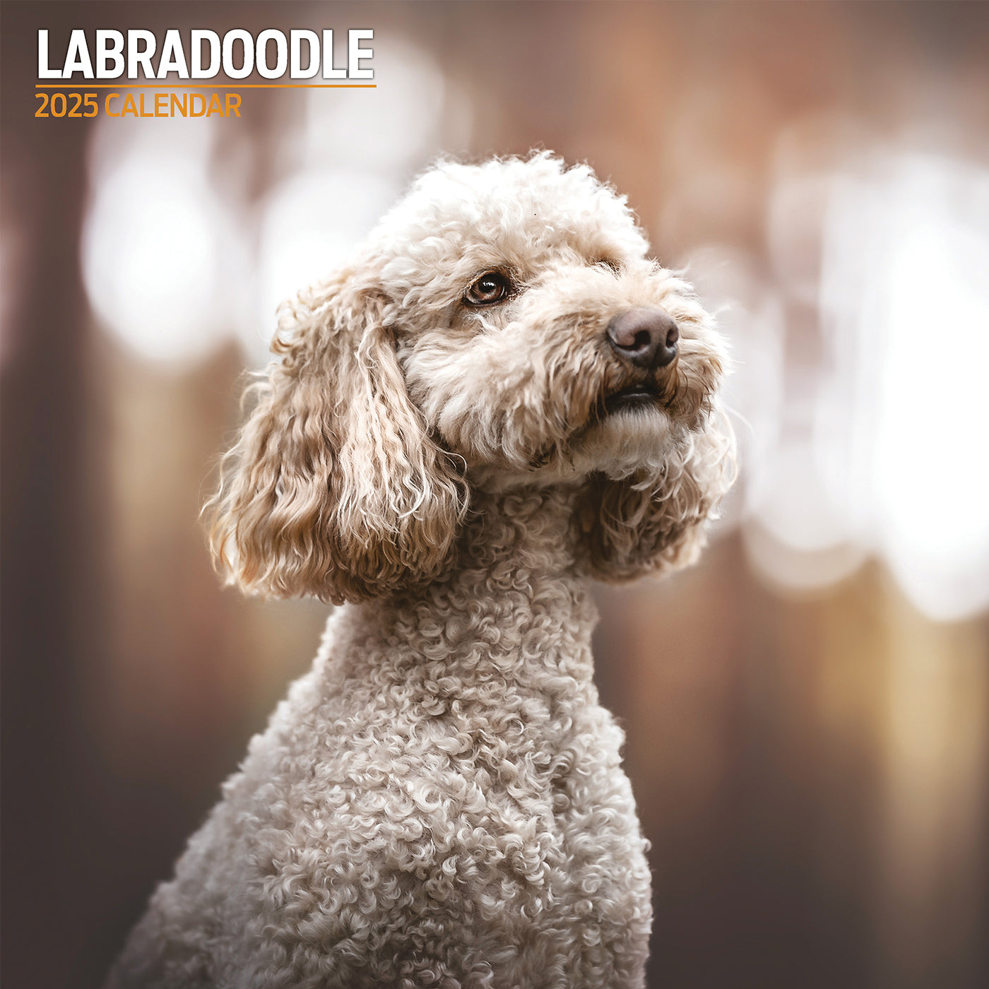 2025 Labradoodle Wall Calendar - Cute Doodle Dog Planners & Schedulers for Home, Office, or Gift | Monthly & Yearly Pet Lovers Organizer