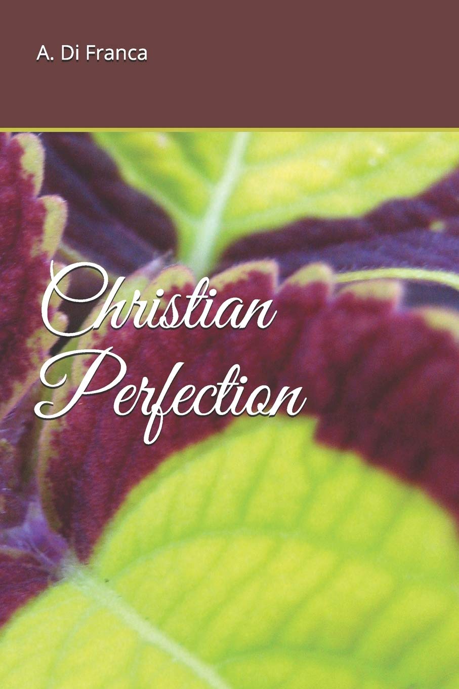 Christian Perfection - Inspirational Christian Gifts for Faith & Devotion | Perfect for Church, Bible Study & Spiritual Growth