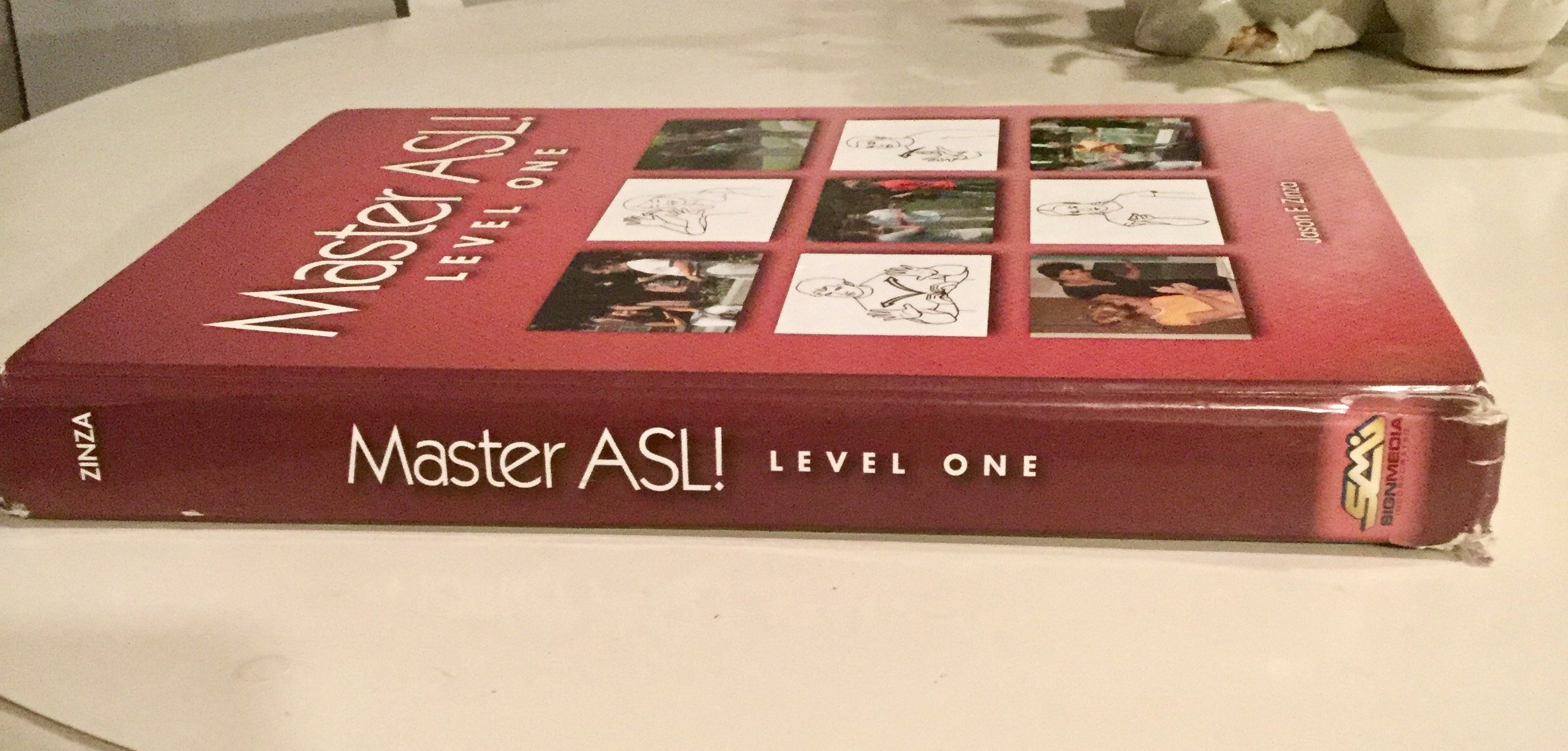 Master ASL - Level One American Sign Language Learning Kit with Instructional DVD | Perfect for Beginners, Homeschooling & Self-Study