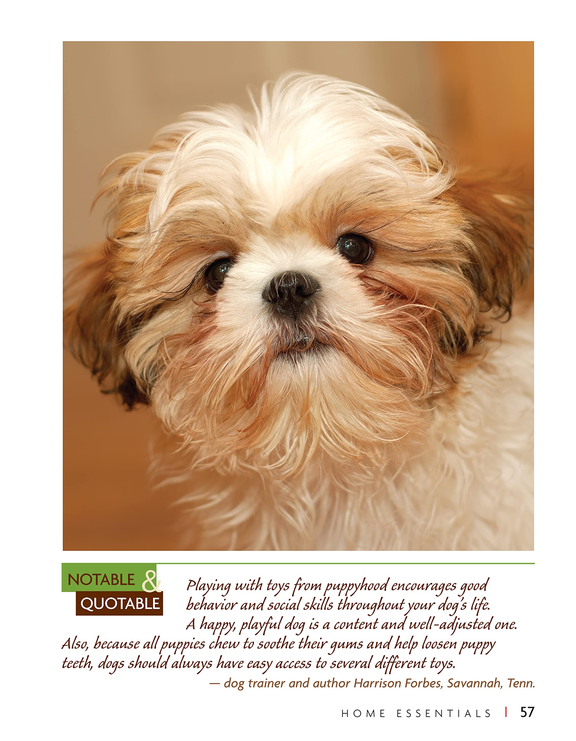 Shih Tzu Dog Breed Guide - Smart Owner's Companion Book for Training & Care | Perfect for New Pet Owners & Dog Lovers