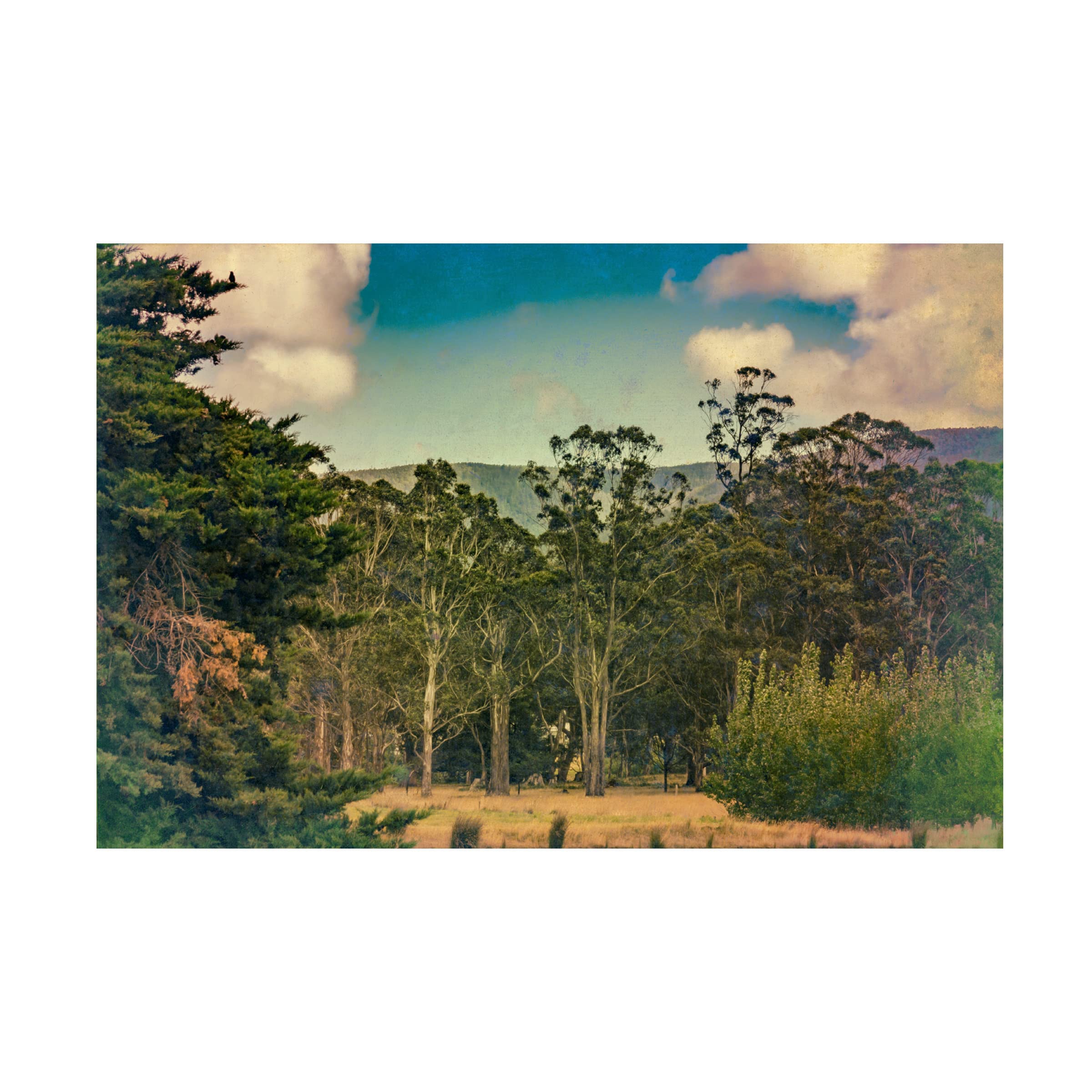 Vintage Countryside 04 Canvas Wall Art Print by Eva Bane - 16x24 Inches Country Landscape Painting for Living Room, Bedroom & Office Decor