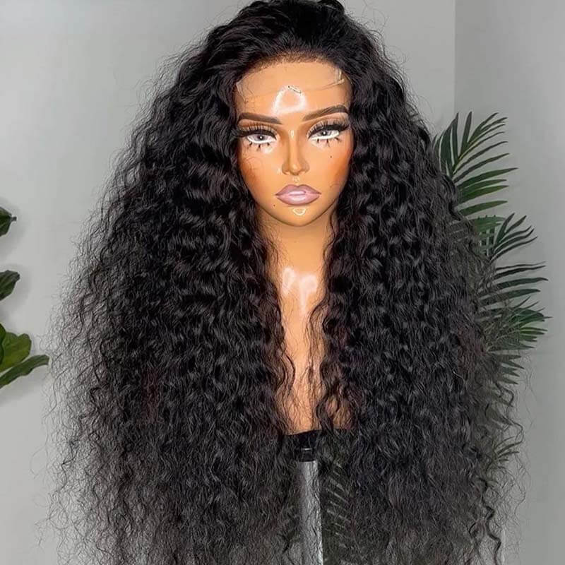 Eullair Affordable 4x4/13x4/13x6 Lace Front Wigs for Black Women - Straight/Body Wave/Curly/Yaki Straight Human Hair | Perfect for Daily Wear, Parties & Special Occasions