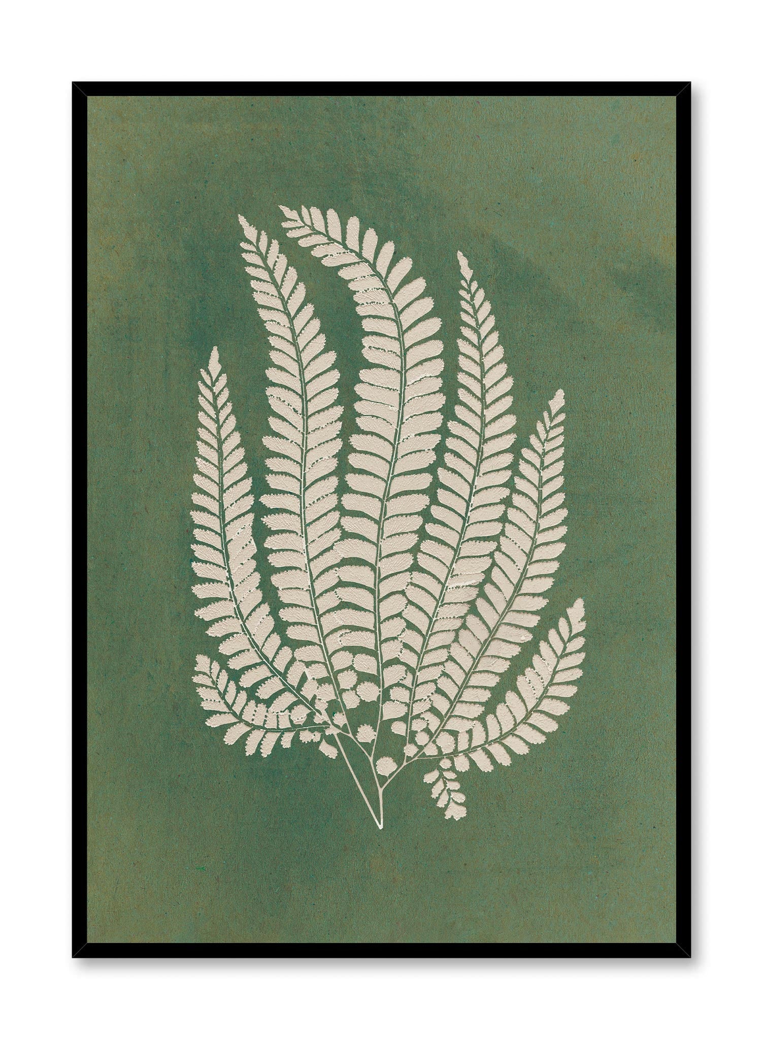 Papercut Lady Fern Art Print - Botanical Wall Decor for Home, Office & Gift Giving - Perfect for Living Room, Bedroom & Workspace Aesthetics