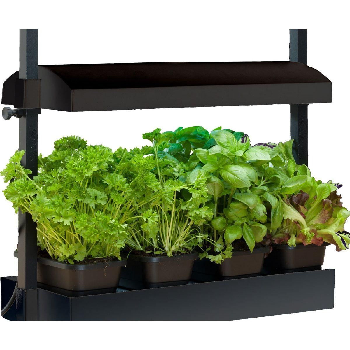 SunBlaster Micro T5 Grow Light Garden - High Efficiency LED Plant Grow Light for Indoor Plants, Hydroponics, Seedlings & Herbs - Perfect for Home Gardening, Greenhouses & Indoor Farming