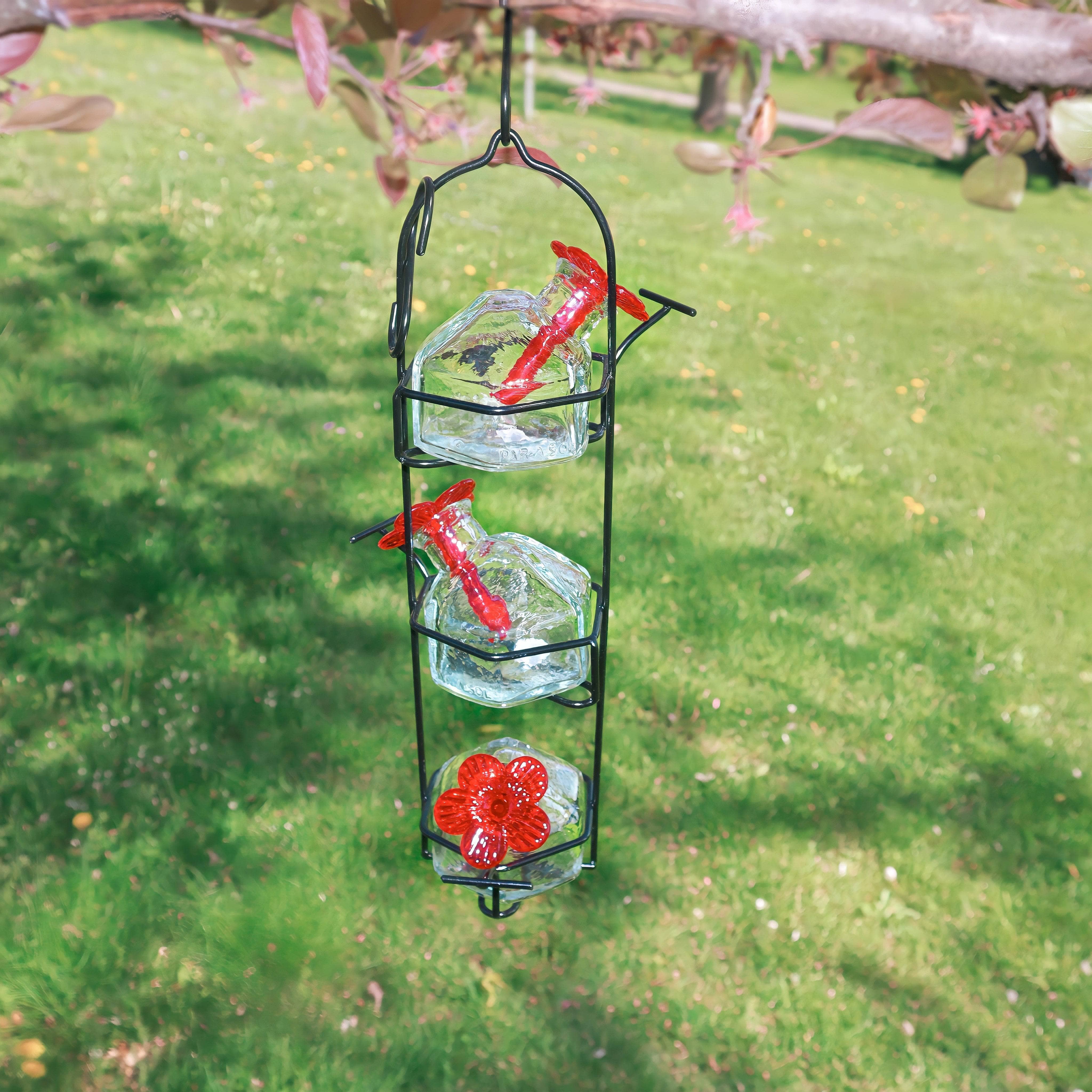 Best Clear Hummingbird Feeder for Lunch Pail - 10.5 oz Capacity - Attract Hummingbirds to Your Garden, Patio, or Backyard - Perfect for Outdoor Bird Watching & Nature Lovers