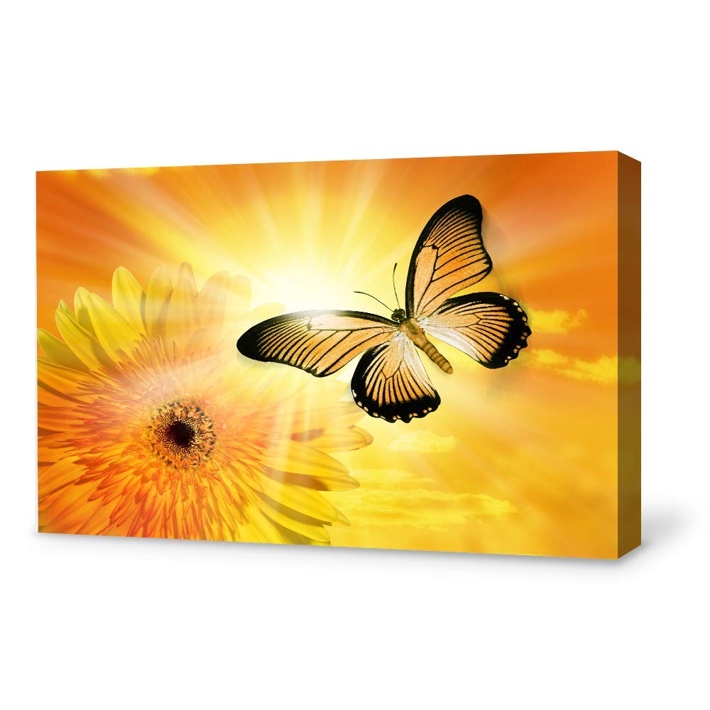 Beautiful Butterfly Giclee Canvas Wall Art - 32x48 Inches Modern Home Decor for Bedroom, Living Room, Office, and Nursery