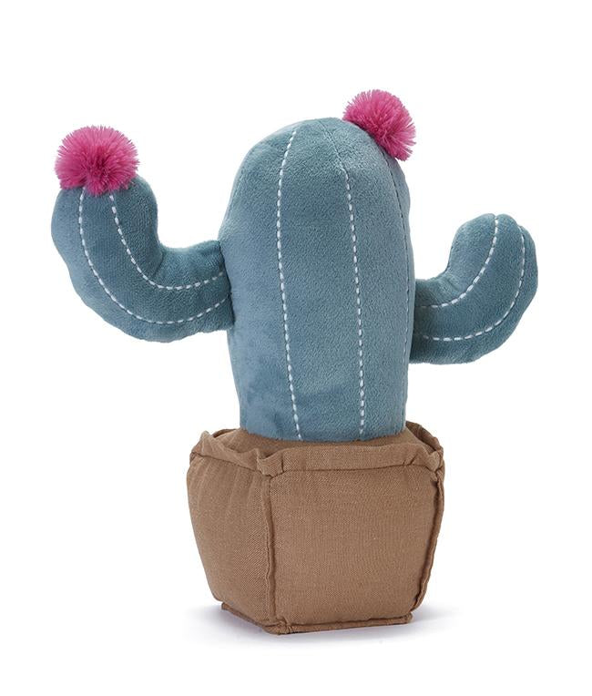 Blooming Cactus - Live Indoor Succulent Plant for Home & Office Decor - Perfect for Desktops, Windowsills, and Gift Giving