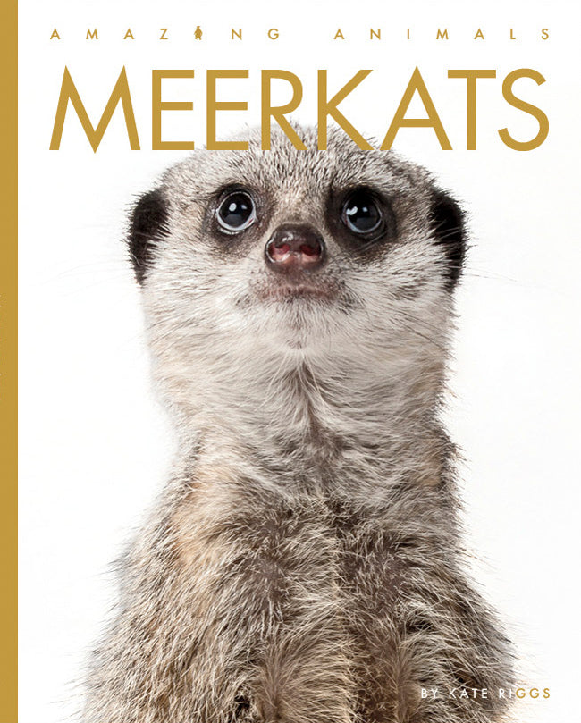 Meerkats Book 9781640265707 - Fascinating Facts & Photos for Animal Lovers - Perfect for Kids, Students & Wildlife Enthusiasts