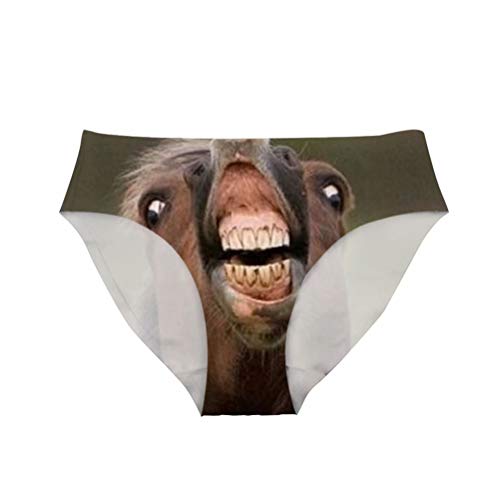 Horse-1