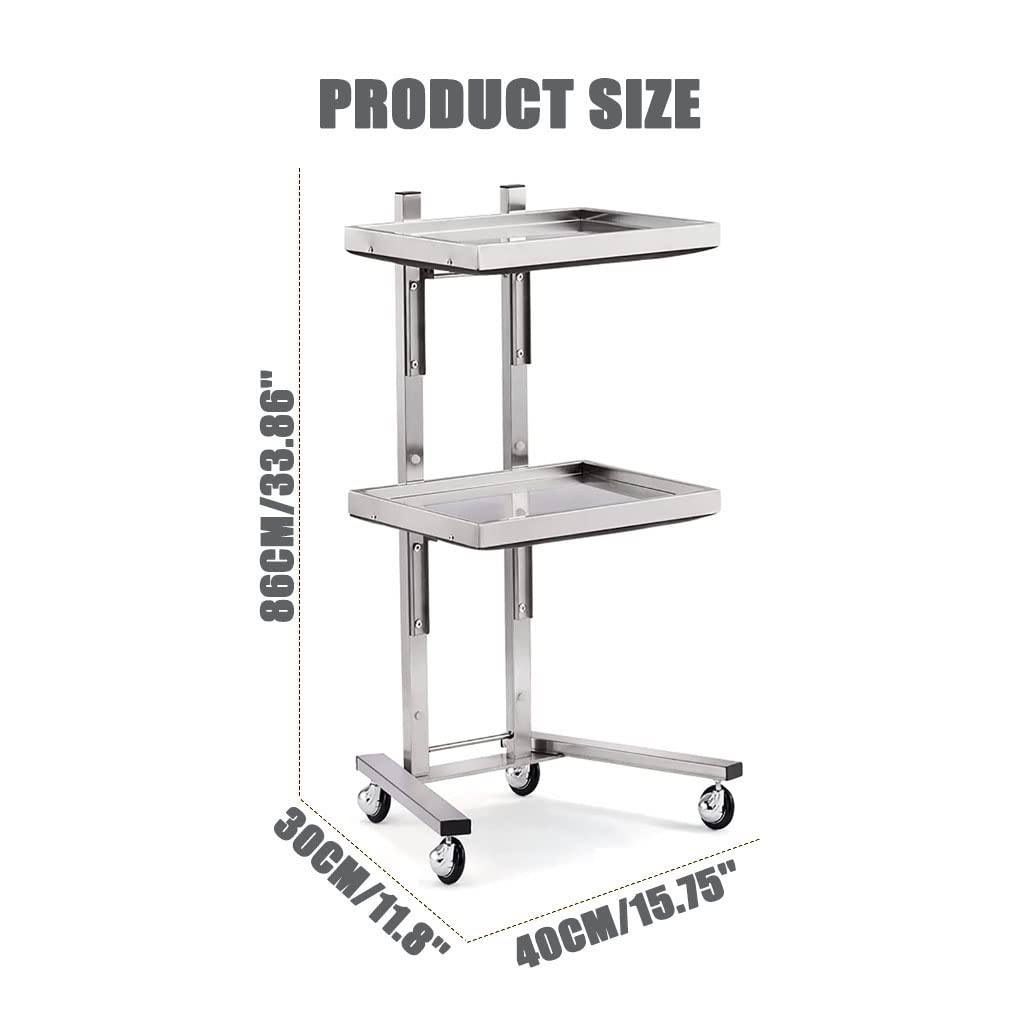2-Tier Stainless Steel Rolling Cart with Wheels - Heavy Duty Metal Utility Trolley for Salon, Kitchen, Bedroom & Tattoo Shop Storage | Mobile Organizer for Beauty Supplies, Cooking Utensils & Home Essentials (Silver)