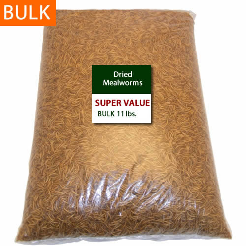 Premium Dried Mealworms for Reptiles, Birds & Chickens - High Protein Pet Food - 11 lb Bulk Bag - Perfect for Feeding Bearded Dragons, Hedgehogs & Wild Birds