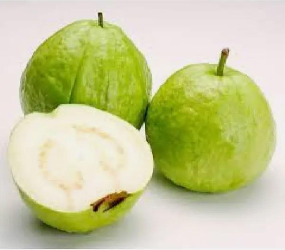 Fresh White Guava Fruit 10 lbs - Tropical Sweet Exotic Fruit for Smoothies, Juices & Healthy Snacks