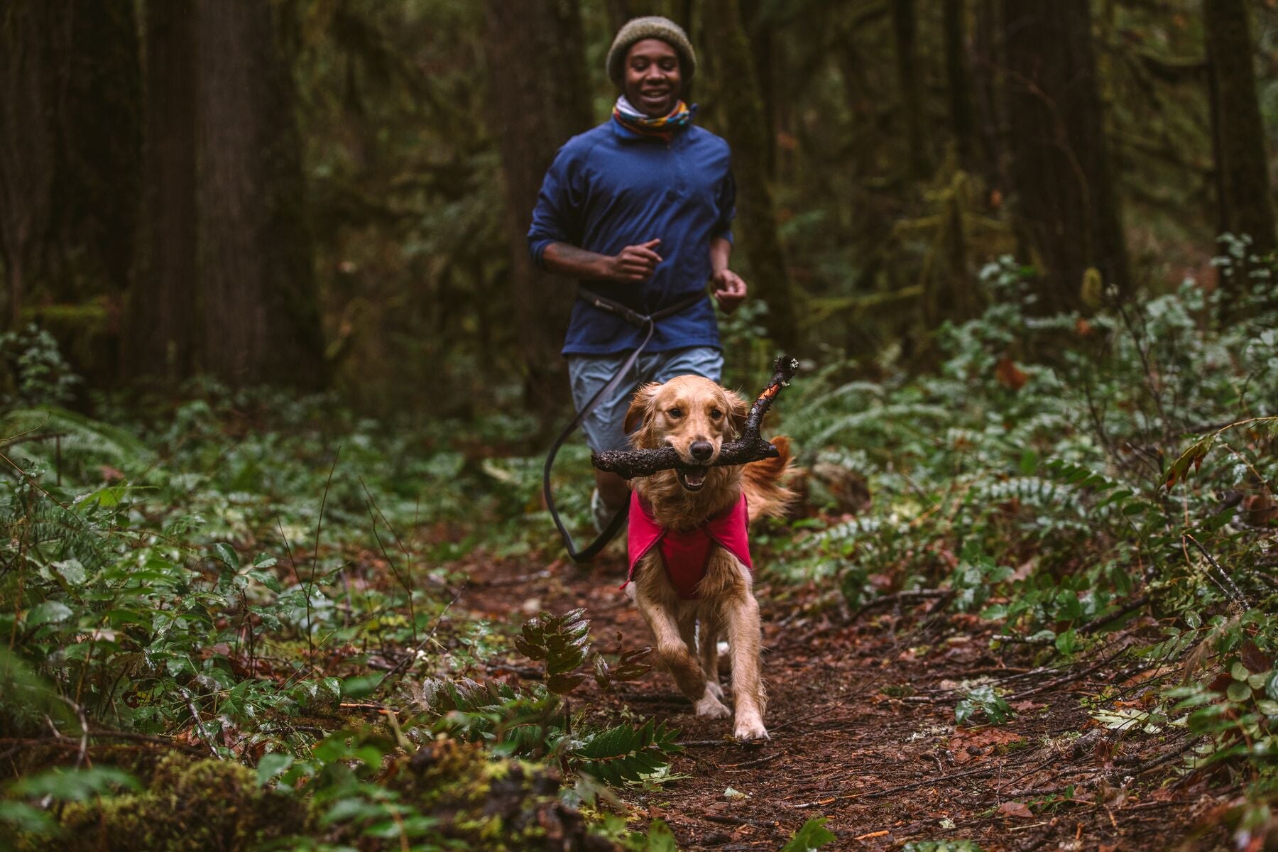 Ruffwear Sun Shower® Waterproof Dog Vest - Blue Dusk Color | Lightweight Rain Jacket for Dogs | Perfect for Hiking, Camping & Outdoor Adventures