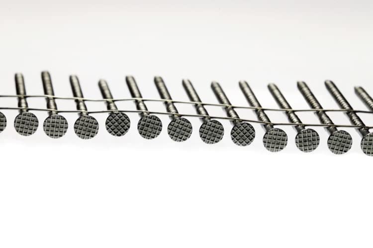 Simpson Strong-Tie T13A200SNJ 15° Wire Coil Siding Nails - 2 Inch Full Round Head Ring Shank, Type 316 Stainless Steel (1800 Count) - Perfect for Exterior Siding, Fencing & Roofing Projects