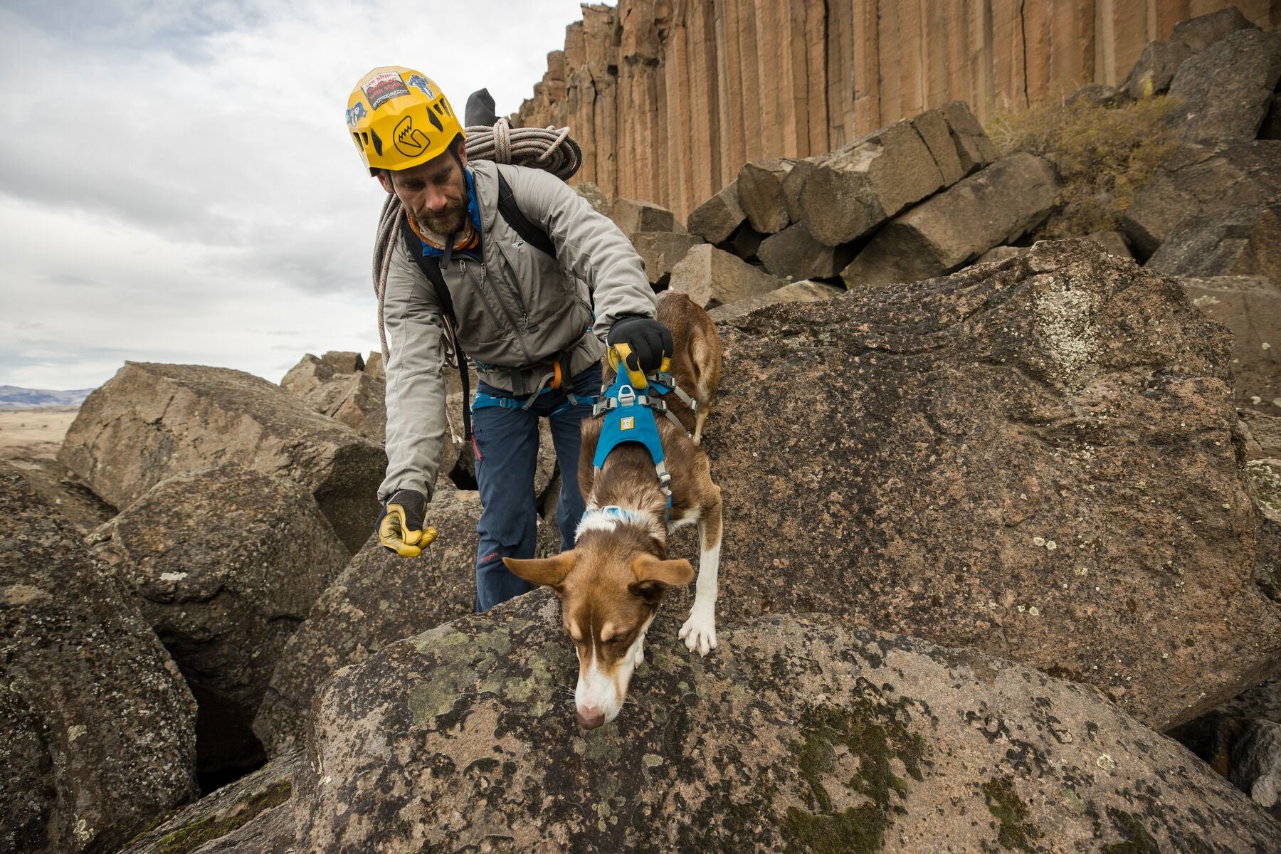 Ruffwear Flagline Harness® - Adjustable Multi-Use Dog Harness in Blue Dusk | Perfect for Hiking, Running & Outdoor Adventures