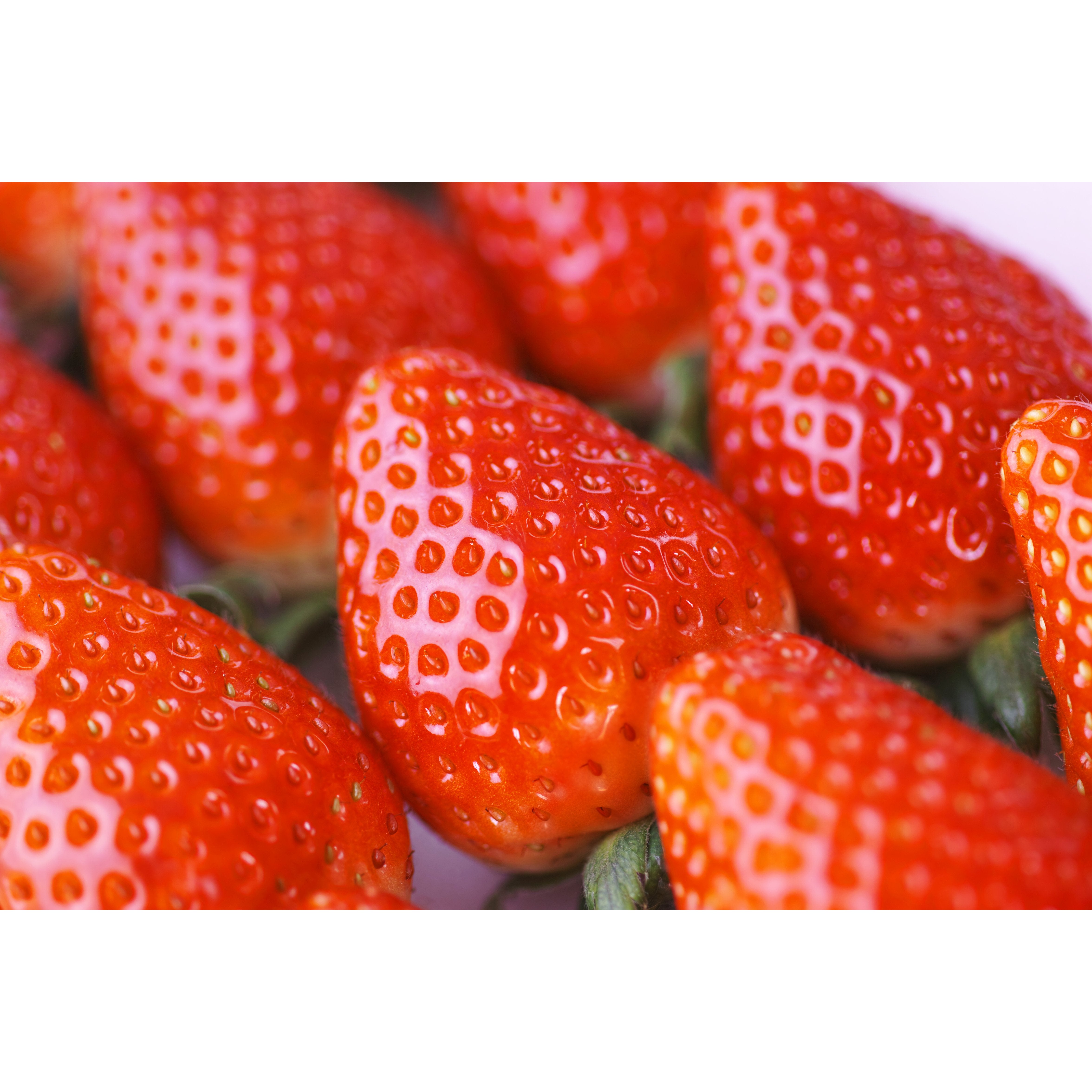Premium Marushige Migaki Strawberry Drinking Vinegar 500ml - Delicious & Healthy Japanese Fermented Beverage for Detox, Weight Loss & Digestive Health - Perfect for Smoothies, Cocktails & Wellness Drinks