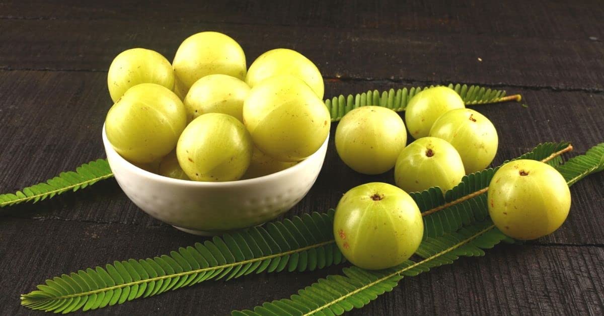 Organic Amla Powder (Indian Gooseberry) - 200g for Hair Growth, Skin Care & Immunity Boost | Natural Health Supplement for Smoothies, Tea & DIY Beauty Recipes
