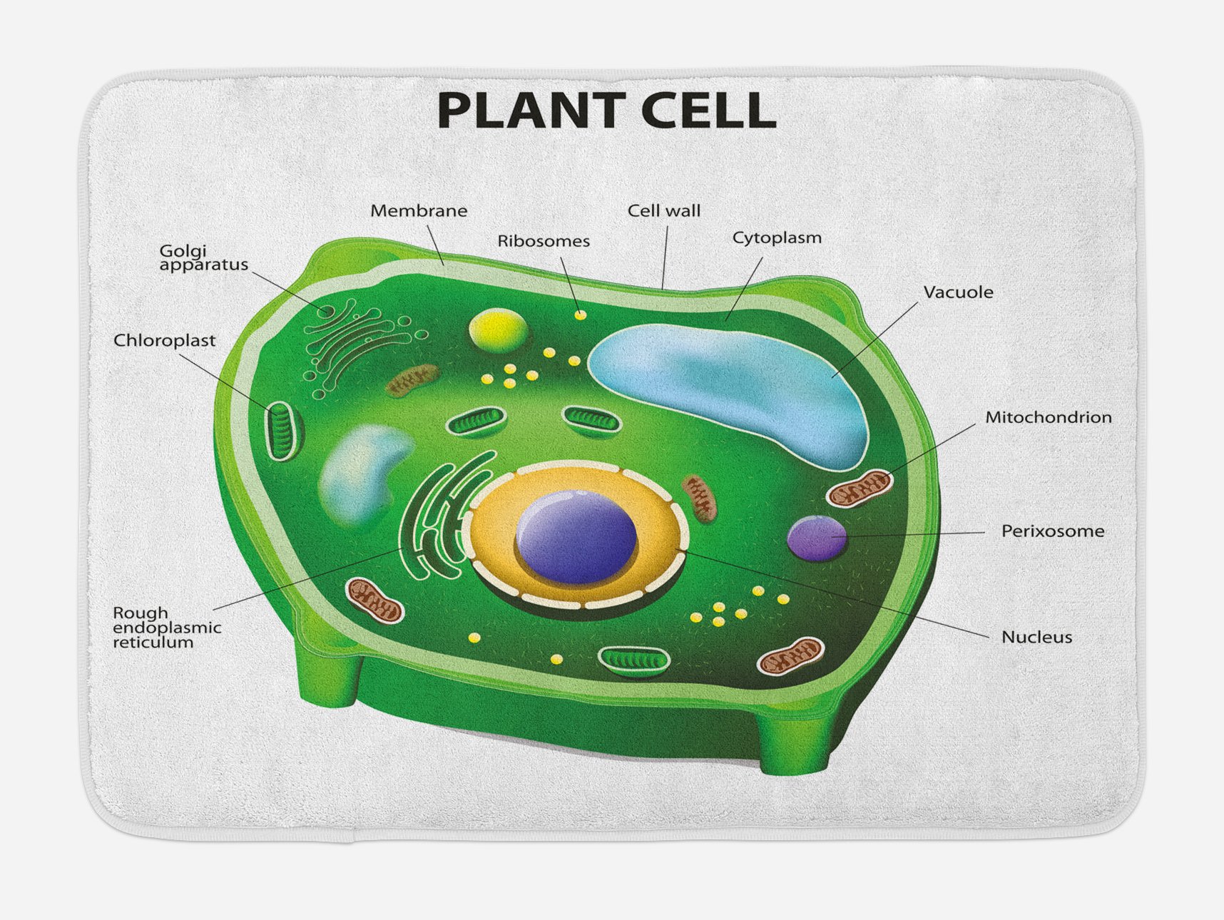 Ambesonne Science Bath Mat - Non-Slip Plush Bathroom Rug with Botanic Cell Morphology Print (Vacuole, Nucleus, Chloroplast) - 30.2