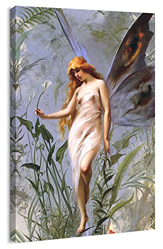 The Lily Fairy