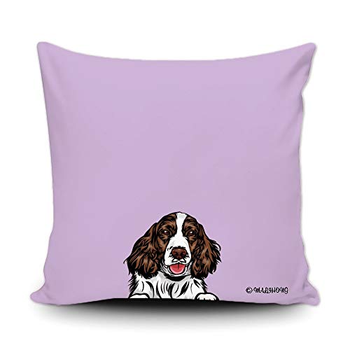 English Springer Spaniel-1-9