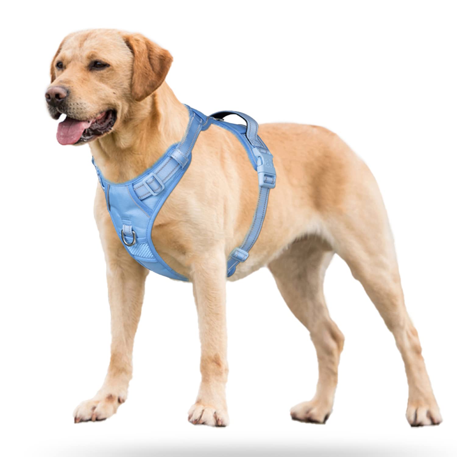 PoyPet No Pull Dog Harness - Reflective Adjustable Pet Vest with Padded Handle for Small Medium Large Dogs - Light Blue Matching Trim - Perfect for Walking, Running & Outdoor Adventures