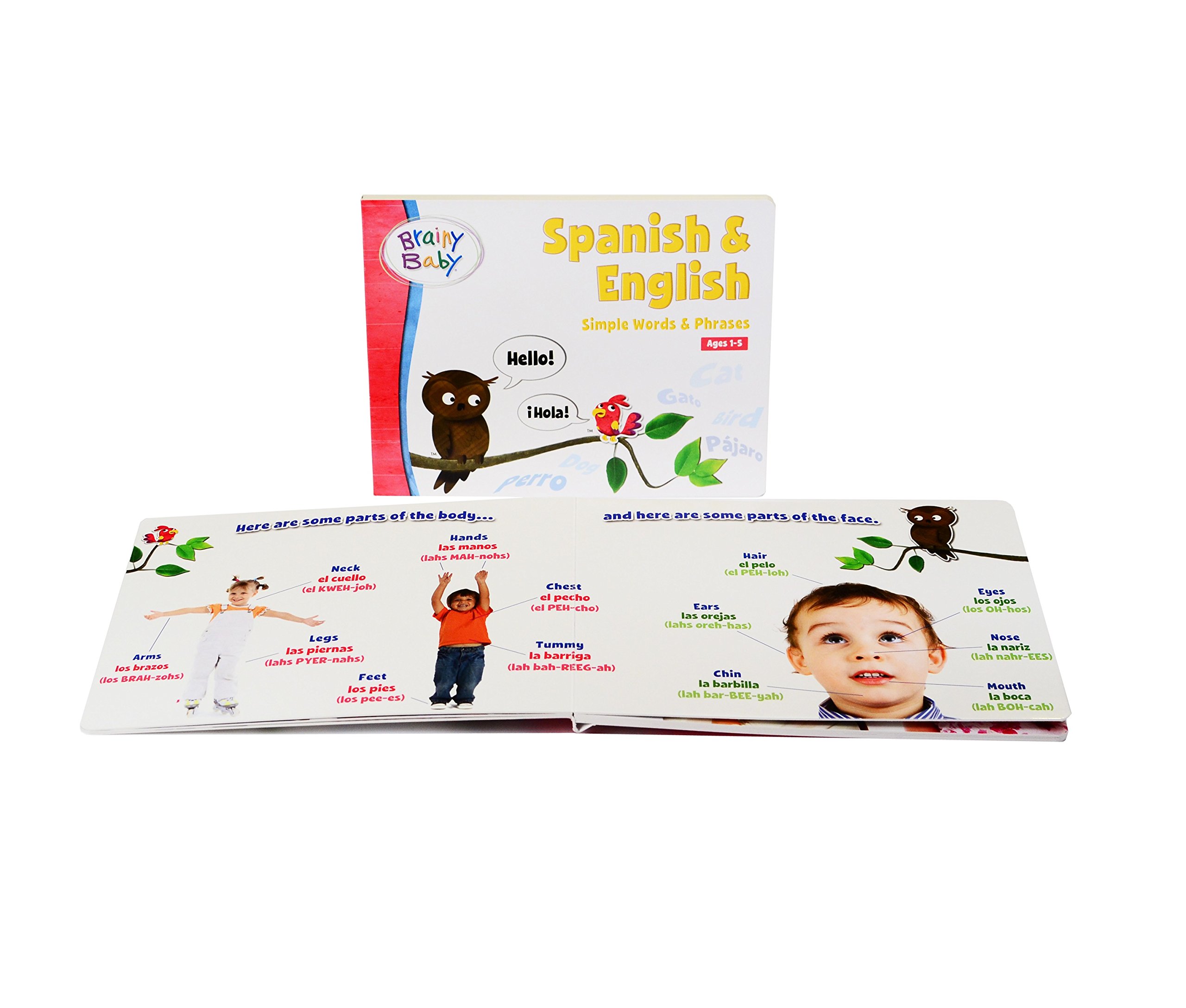 Spanish & English Bilingual Flashcards and Board Book Set - Learn Simple Words & Phrases | Deluxe Edition for Kids, Toddlers & Language Learners | Perfect for Home, Classroom & Travel Learning