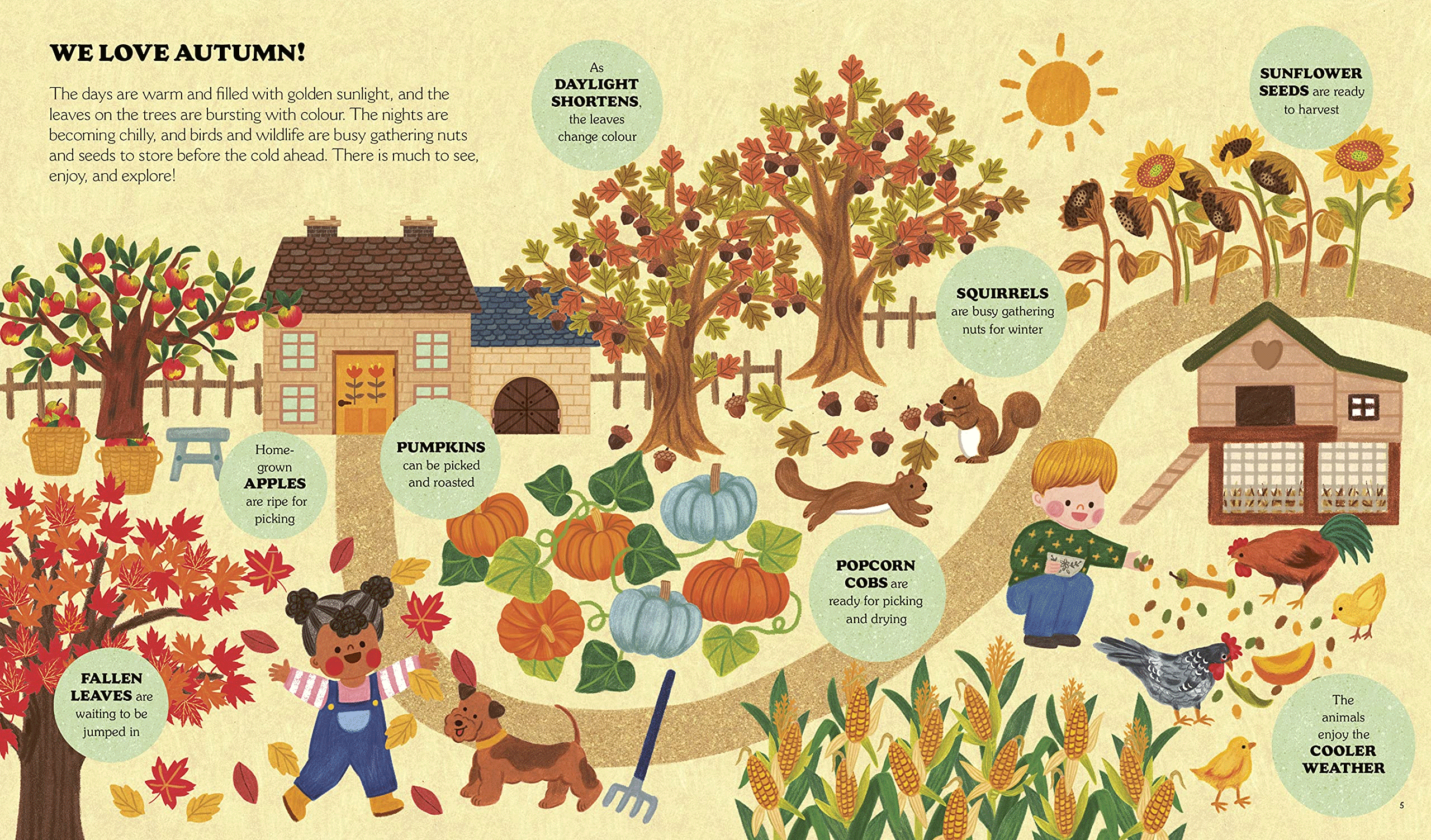 Little Country Cottage: An Autumn Treasury of Recipes, Crafts and Wisdom by AnneliesDraws - Perfect for Cozy Fall Evenings, DIY Projects & Seasonal Inspiration