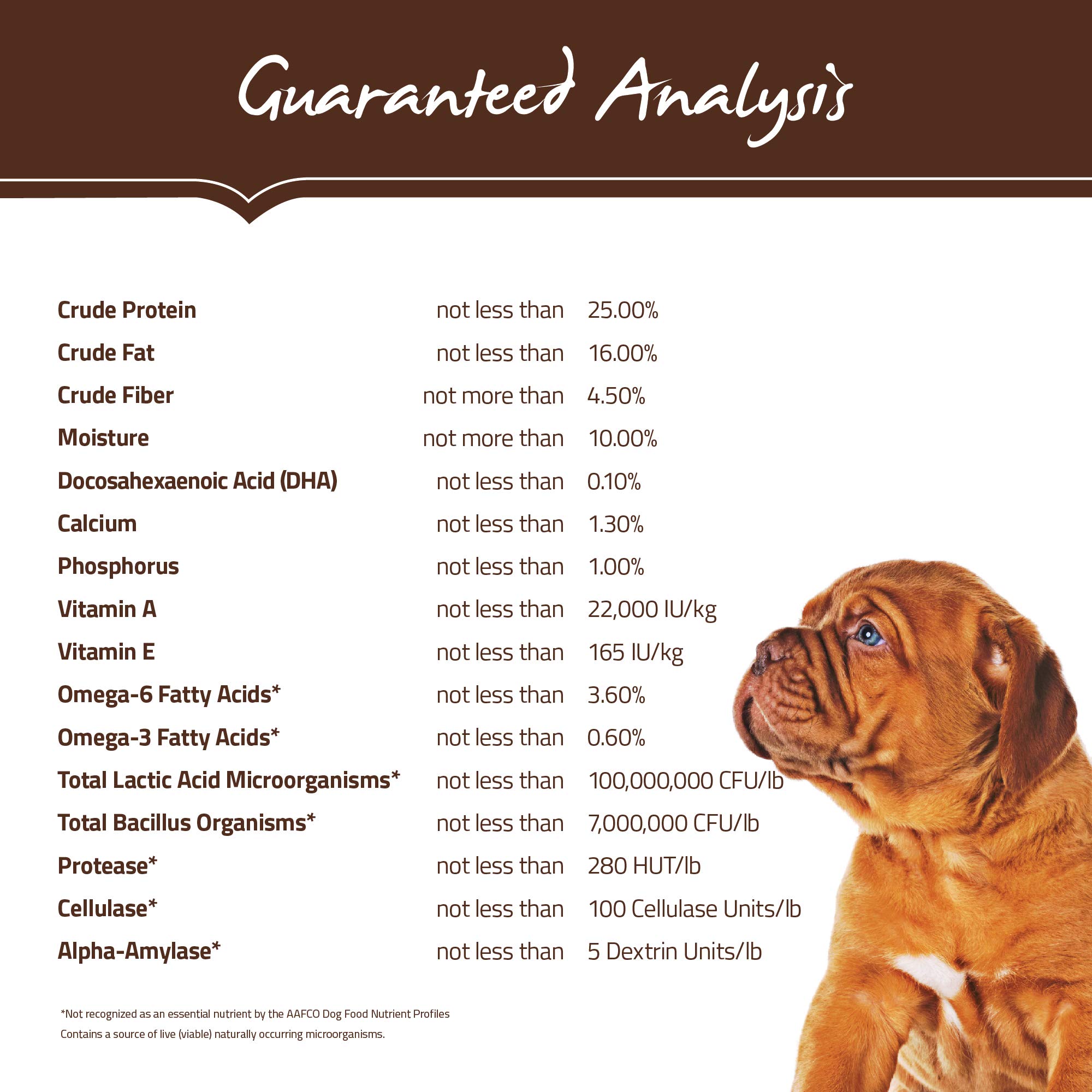 Holistic Select Natural Dry Dog Food for Large & Giant Breed Puppies - High Protein Grain-Free Puppy Food - 30lb Bag for Healthy Growth & Development - Perfect for Active Large Breed Puppies at Home or Outdoor Adventures