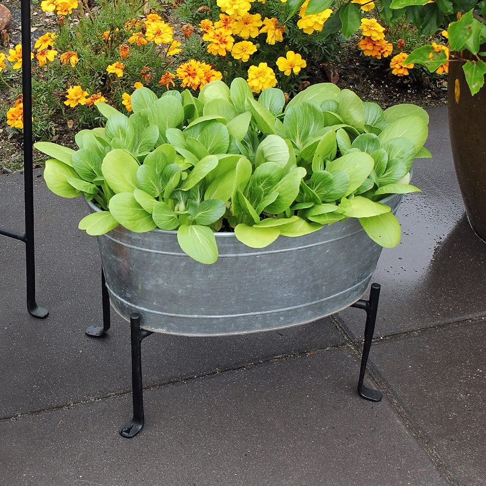 Achla Designs Galvanized Metal Tub 51M C 55 - Perfect for Farmhouse Decor, Garden Planters & Rustic Home Decorating