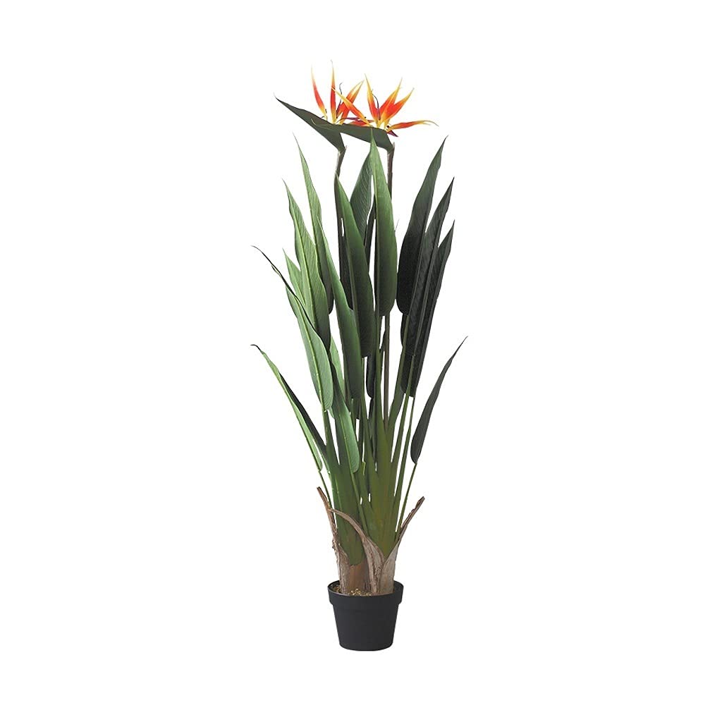 Artificial Strelitzia Fake Tree - Large Bird of Paradise Potted Plant for Indoor & Outdoor Decor - Modern Faux Plant for Home, Office, Wedding & Gift Giving