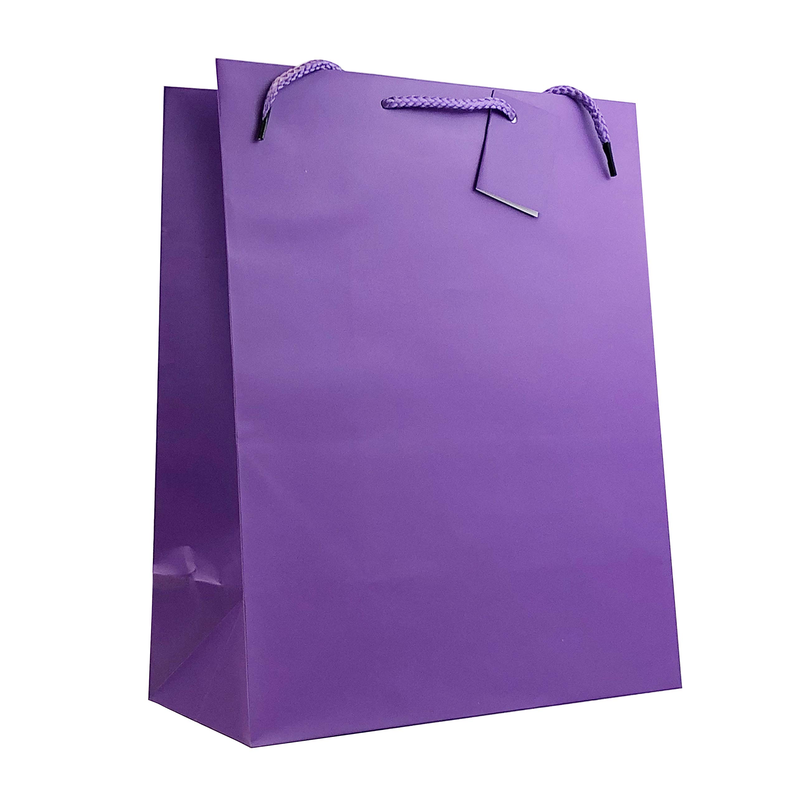 Allgala 12 Pack Large Purple Gift Bags with Handles - 13x10x5.5 Inch Party Favor Bags for Birthday, Wedding, Baby Shower, Christmas & Holiday Celebrations - Perfect for Gift Wrapping, Party Decorations & Special Occasions