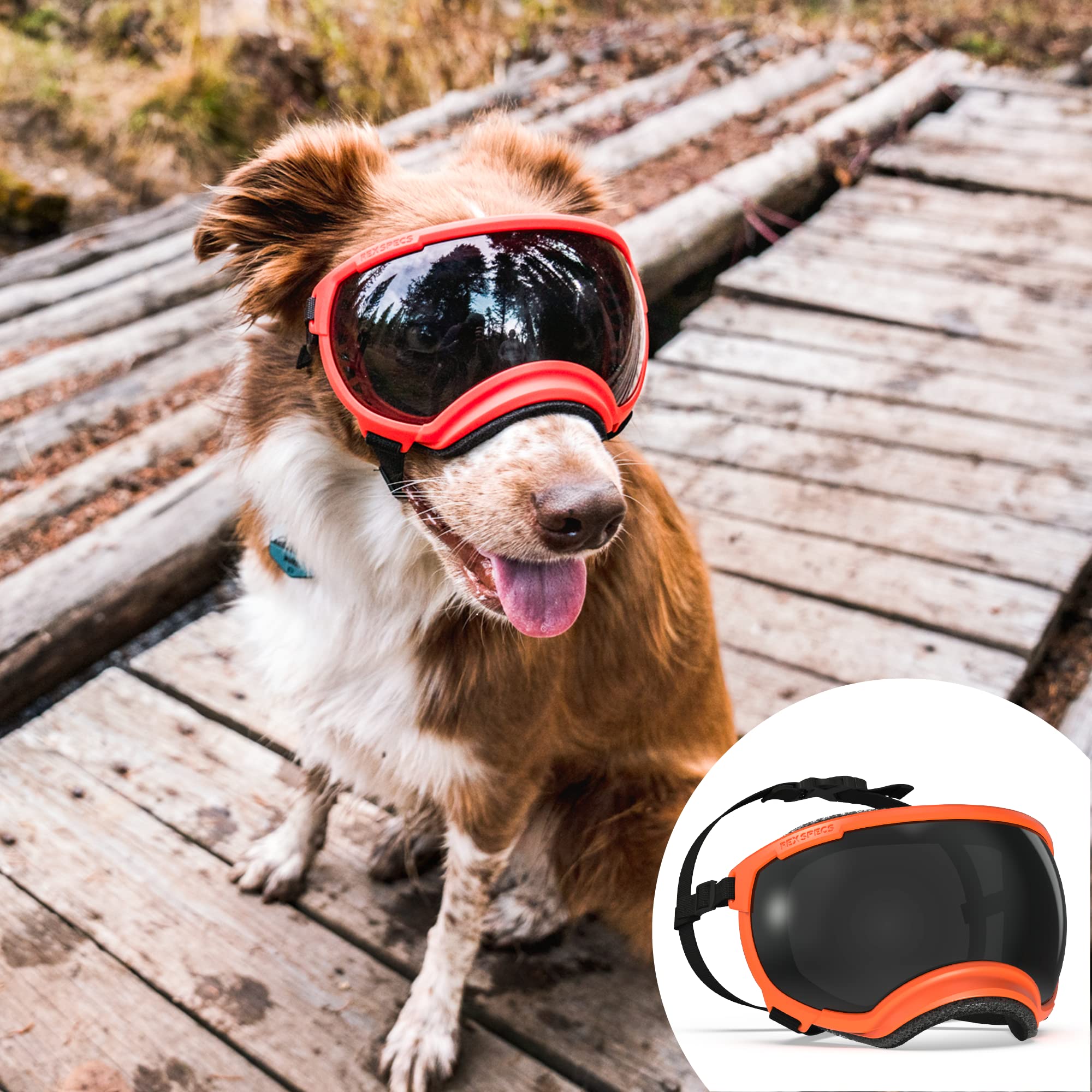 Rex Specs V2 Dog Goggles - Large Size, Bandit Orange Color - Protective Eyewear for Dogs - Perfect for Hiking, Running & Outdoor Adventures