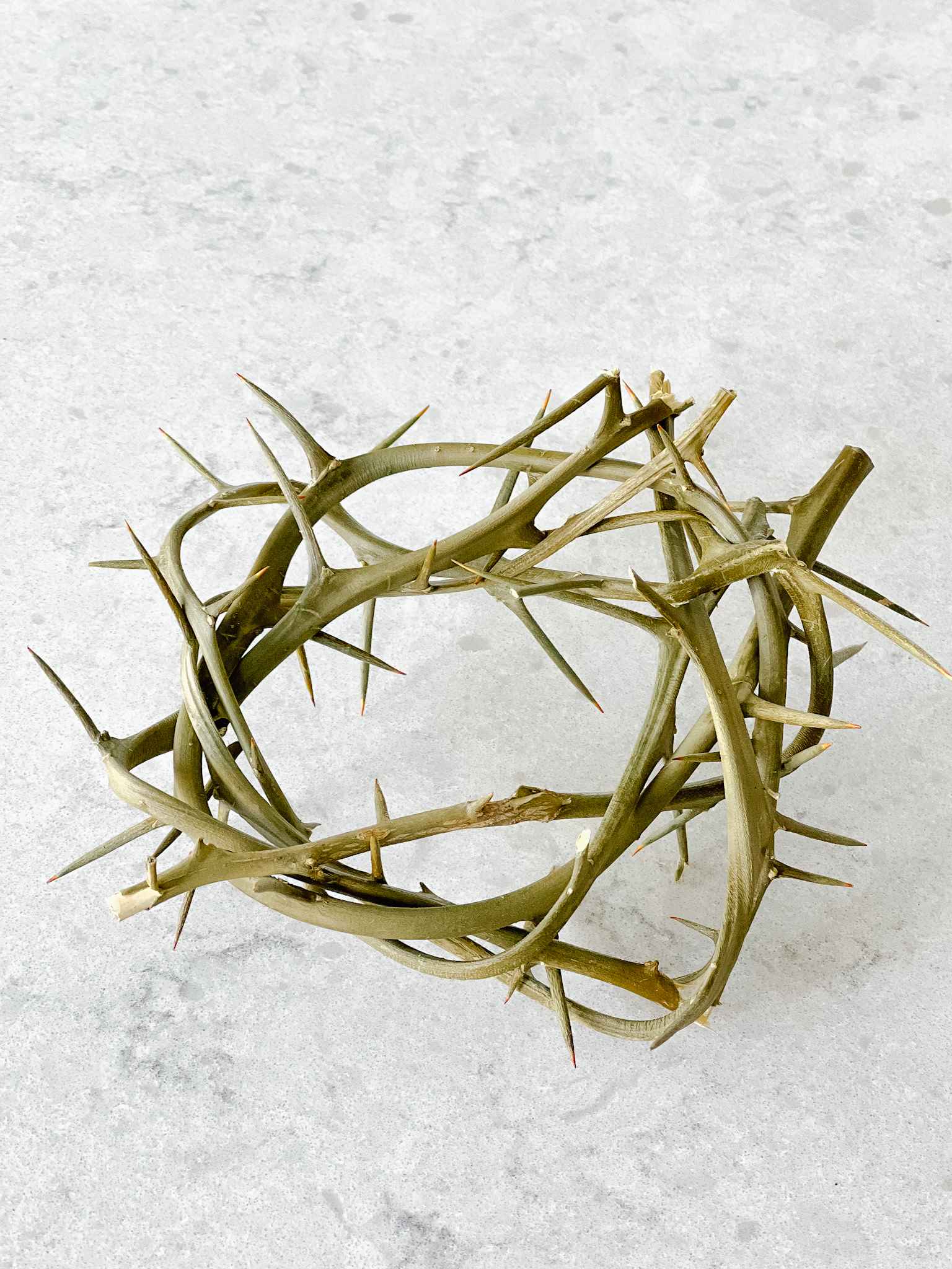 Authentic Crown of Thorns Replica - Religious Home Decor & Christian Gift for Easter, Weddings, Baptisms - Perfect for Church Altars & Spiritual Displays