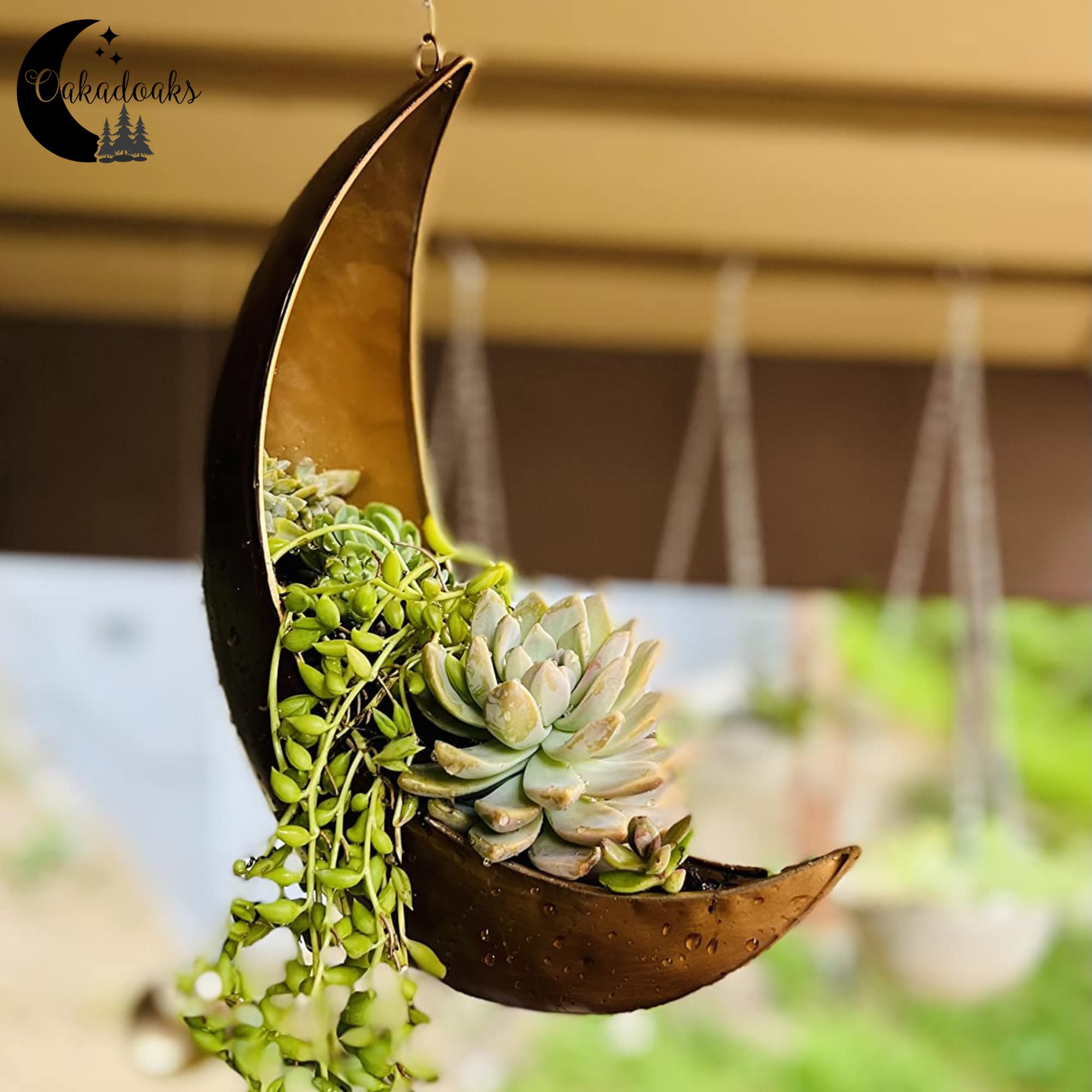 Moon Shaped Hanging Planter - Unique Boho Plant Holder for Succulents, Air Plants & Cactus - Perfect Hippie Witchy Home Decor & Birthday Gift for Plant Lovers - Ideal for Indoor Gardens, Balcony Decor & Boho Bedroom Aesthetics