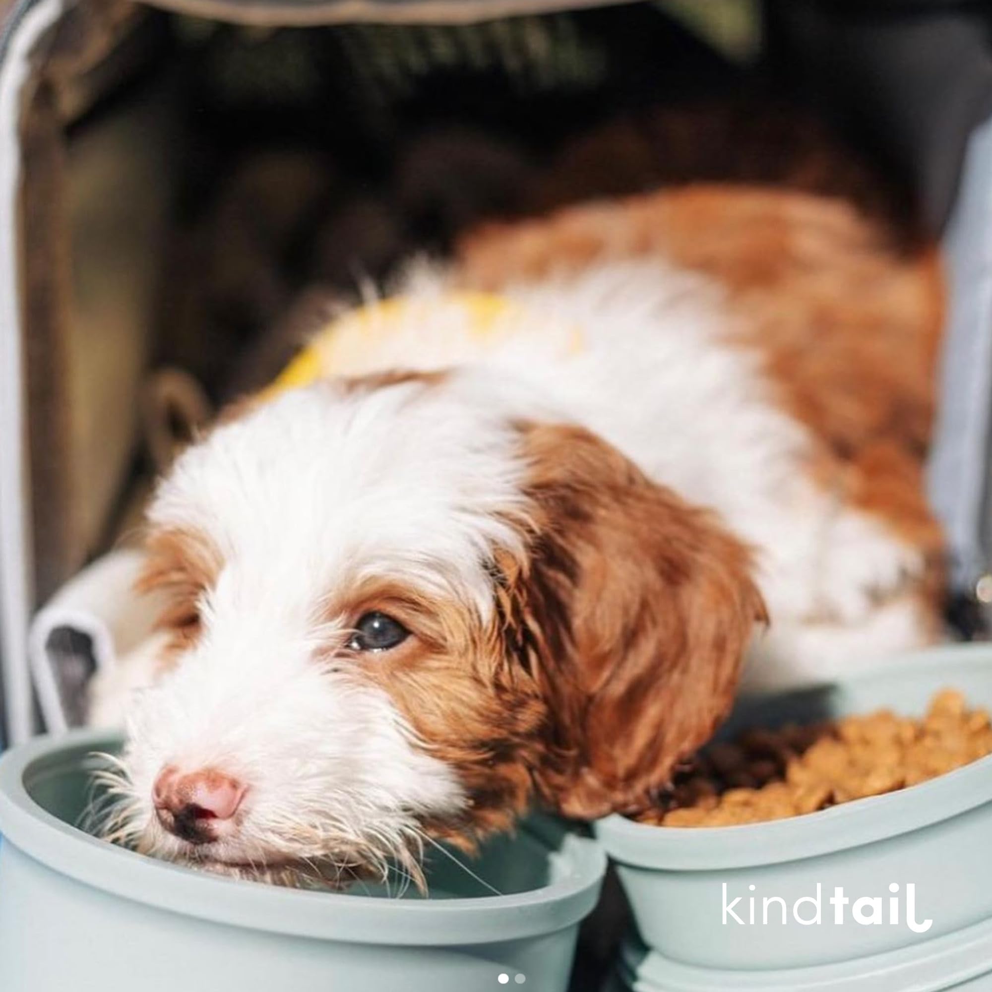 KindTail 2-Pack Portable Dog Travel Bowls - Collapsible Pet Food & Water Dish Set with Lid, Handle & Non-Slip Silicone Base - BPA Free, Microwave & Dishwasher Safe - Perfect for Hiking, Camping & Road Trips