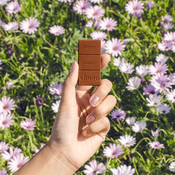 Chuao Chocolatier Oh My S'mores Milk Chocolate Mini Bars 100-Pack (0.39oz Each) - Gourmet Chocolate Gift for Birthdays, Thank You Gifts, Care Packages & Holiday Baskets | Perfect for Parties, Office Treats & Sweet Snacking