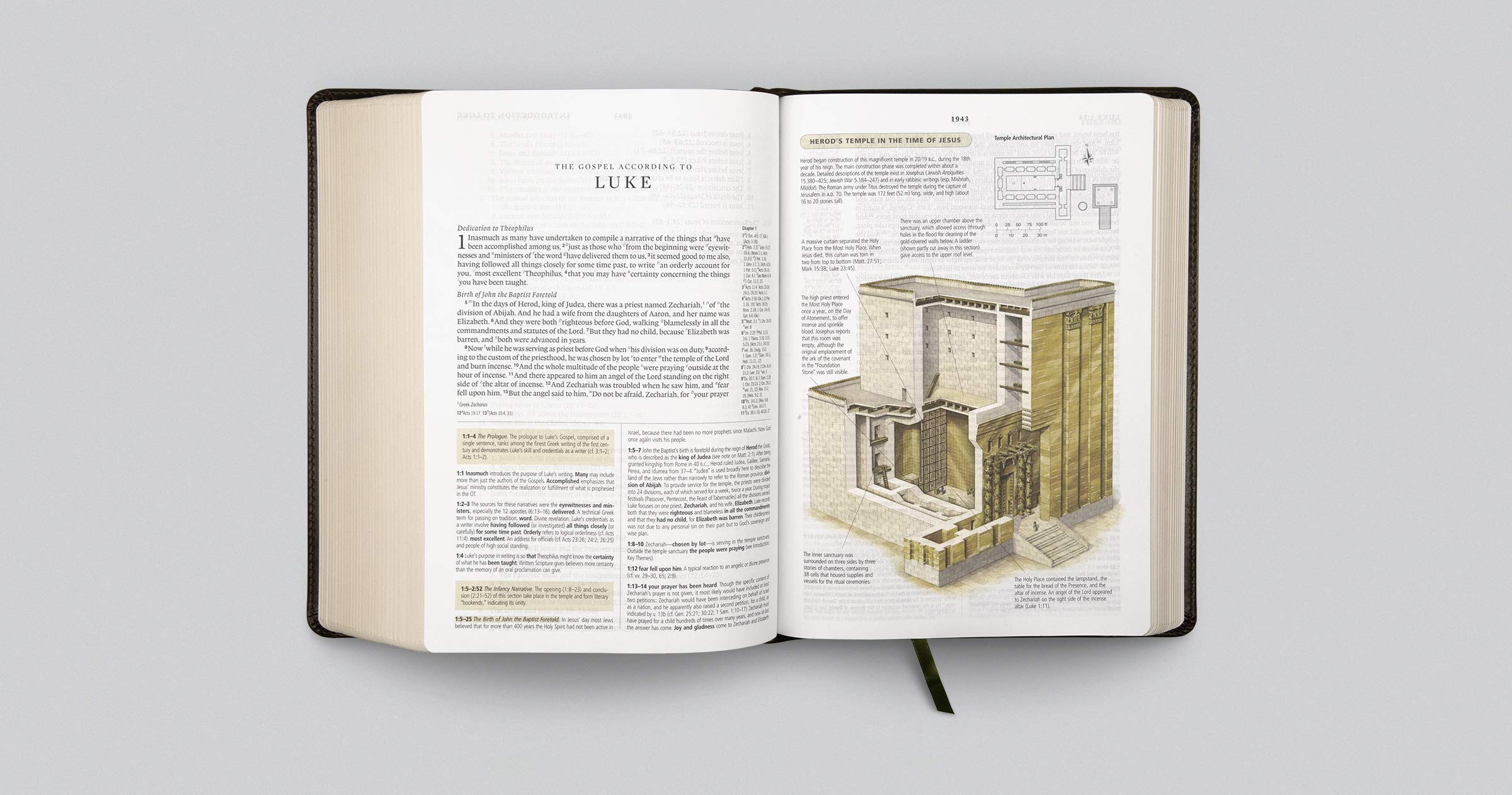 ESV Study Bible - TruTone Olive Branch Design Leather Bible for Men & Women | Perfect for Church, Bible Study Groups & Personal Devotion