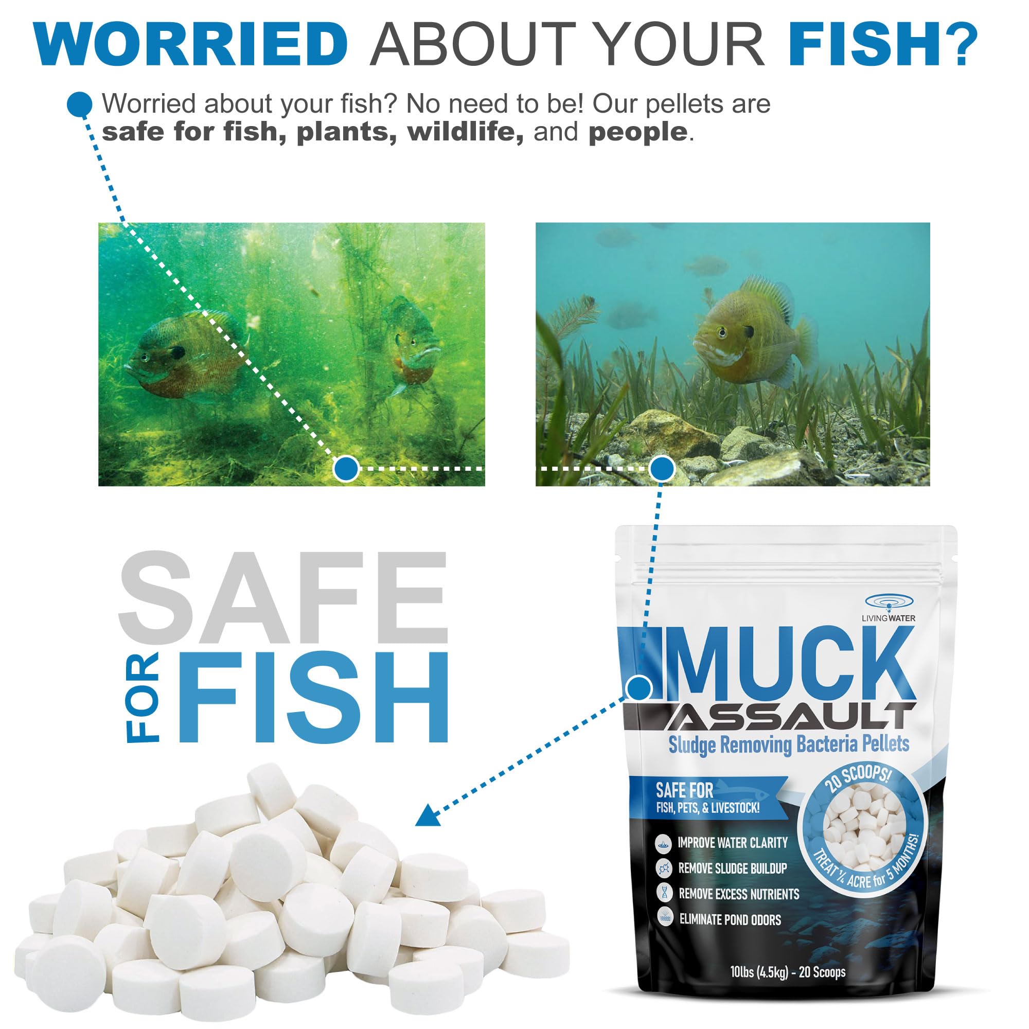 **Muck Assault Pond Sludge Remover Pellets - Natural Pond Cleaner with Beneficial Bacteria & Enzymes - Clears Murky Water, Eliminates Pond Odor - Safe for Fish, Plants & Swimming - 10 lbs for Ponds, Lakes & Water Gardens**
