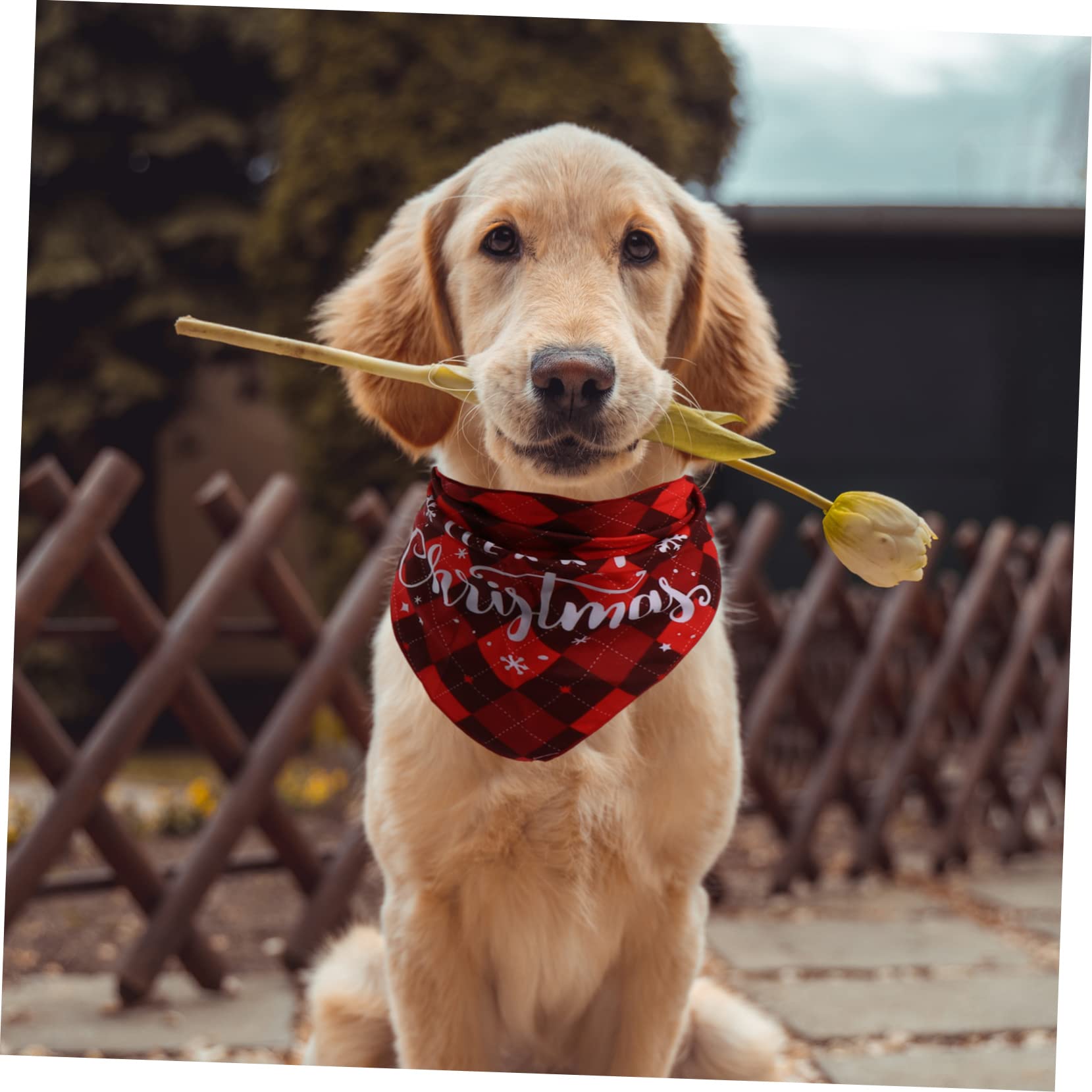 4 Pcs Pet Bandanas - Dog Scarf for Christmas & Daily Use