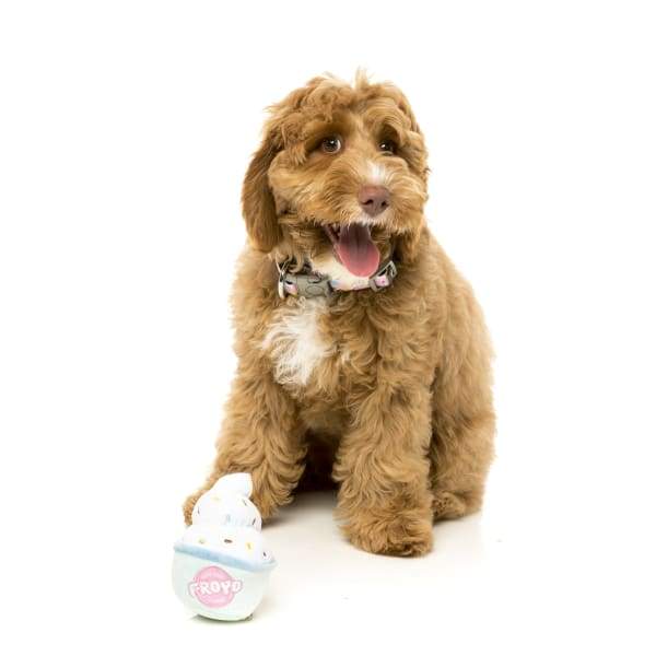 Fuzzyard Frozen Yogurt Plush Dog Toy - Soft & Durable Chew Toy for Small & Medium Dogs | Perfect for Cuddling, Training & Playtime at Home or Outdoors